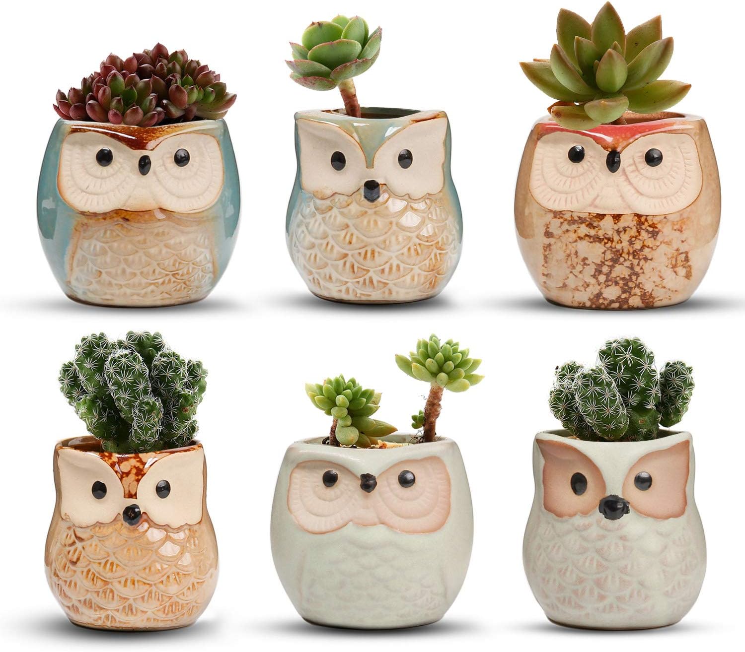 T4U Mini Succulent Ceramic Pots for Gifts, Small Planters for Decor 6 Pack | Planters with Drainage, for live cactus plants, bonsai tree starter pots, indoor windowsill decor, office desk accents