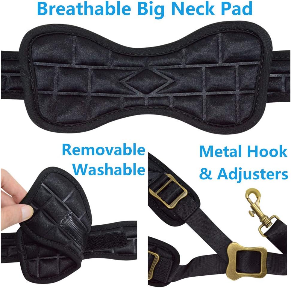 adorence Saxophone Neck Strap with Removable Washable Neck Pad - H04 Black