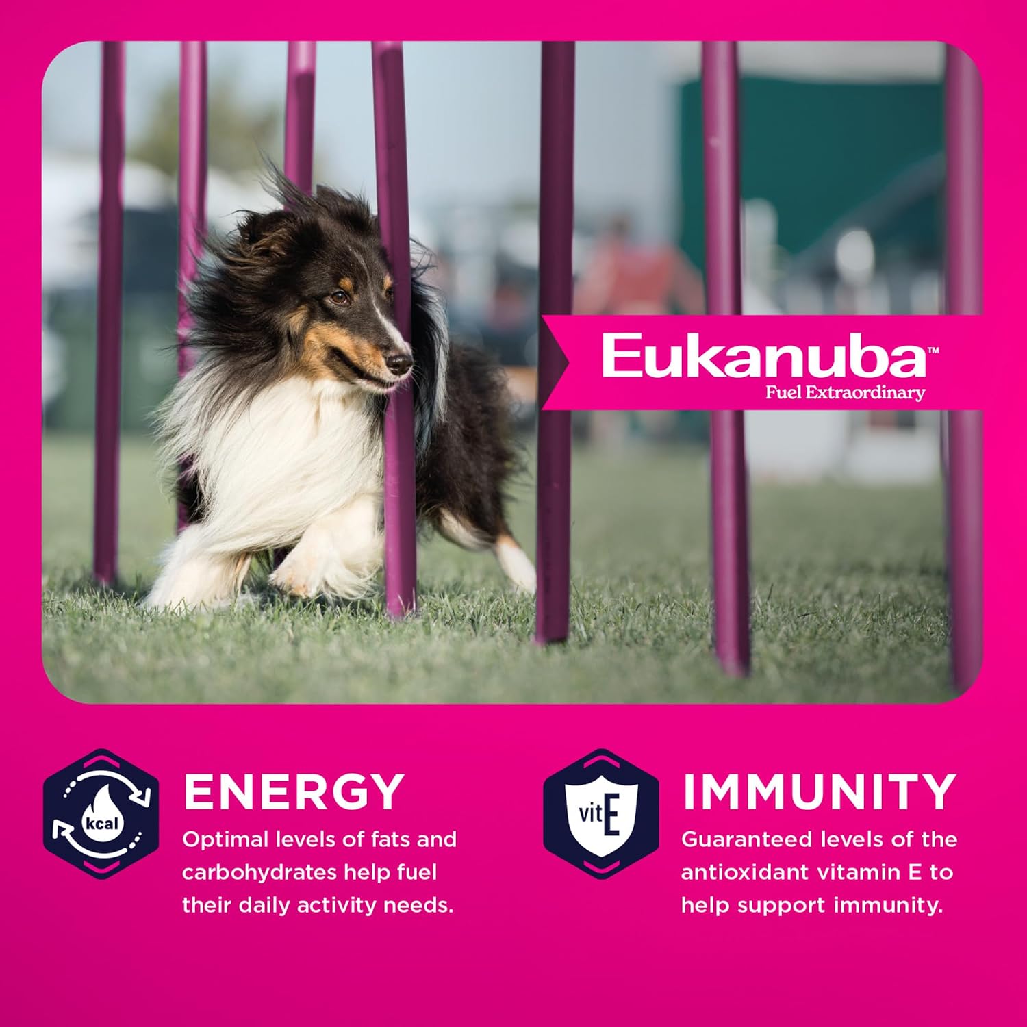Eukanuba Adult Medium Breed Dry Dog Food, 35 lb bag.
