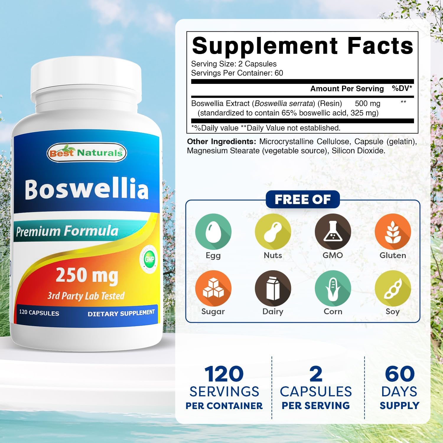 Best Naturals Boswellia Serrata Joint Health 250 mg 120 Capsules - Standardized to 65% Boswellic Acid (120 Count (Pack of 1))
