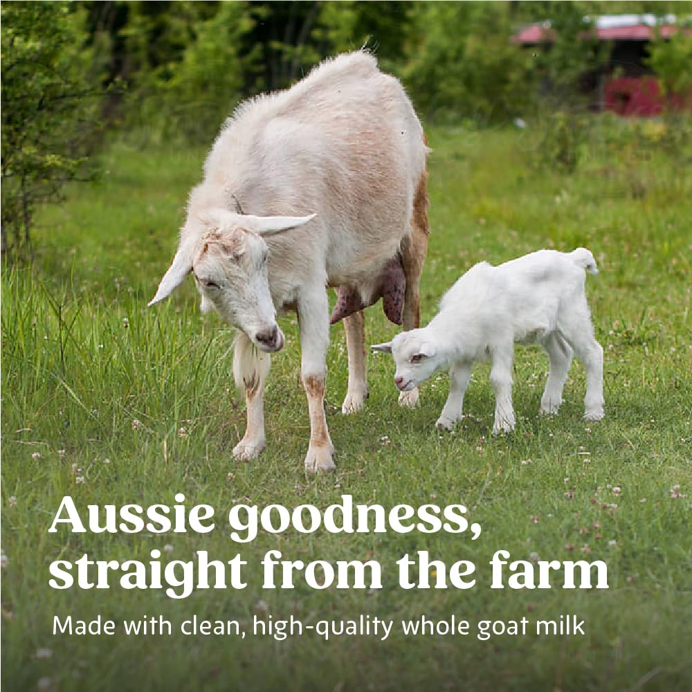 Bubs Whole Goat Milk Infant Formula for 0-12 Months, Non-GMO Milk, 20 oz | Goat Milk-Based Powder with Iron, DHA, ARA, Prebiotics & Essential Nutrients to Support Gentle Digestion