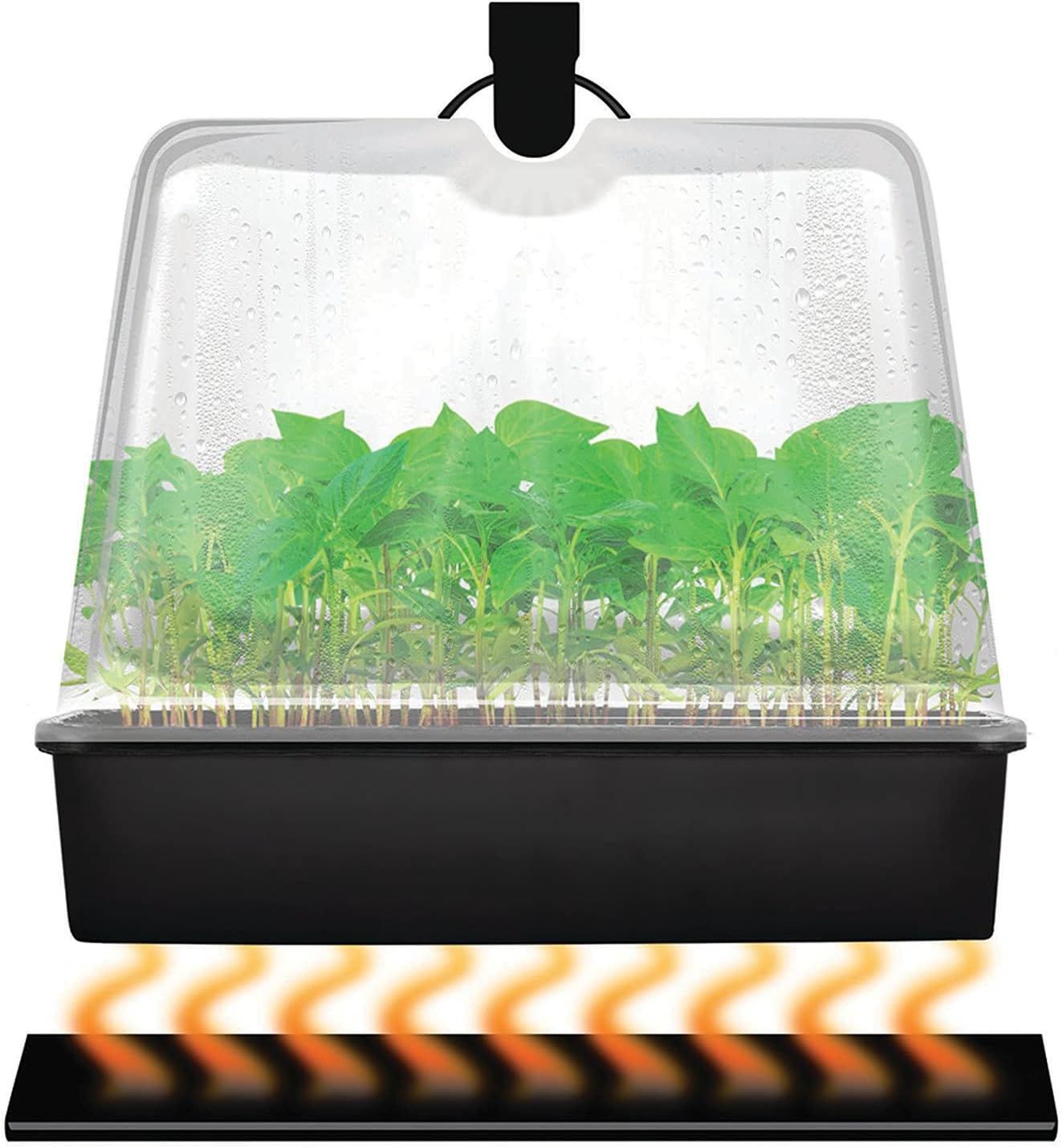 Super Sprouter Premium Heated Propagation Kit for Starting Seeds or Cuttings, Includes Heat Mat, Tray, Grow Light, and More