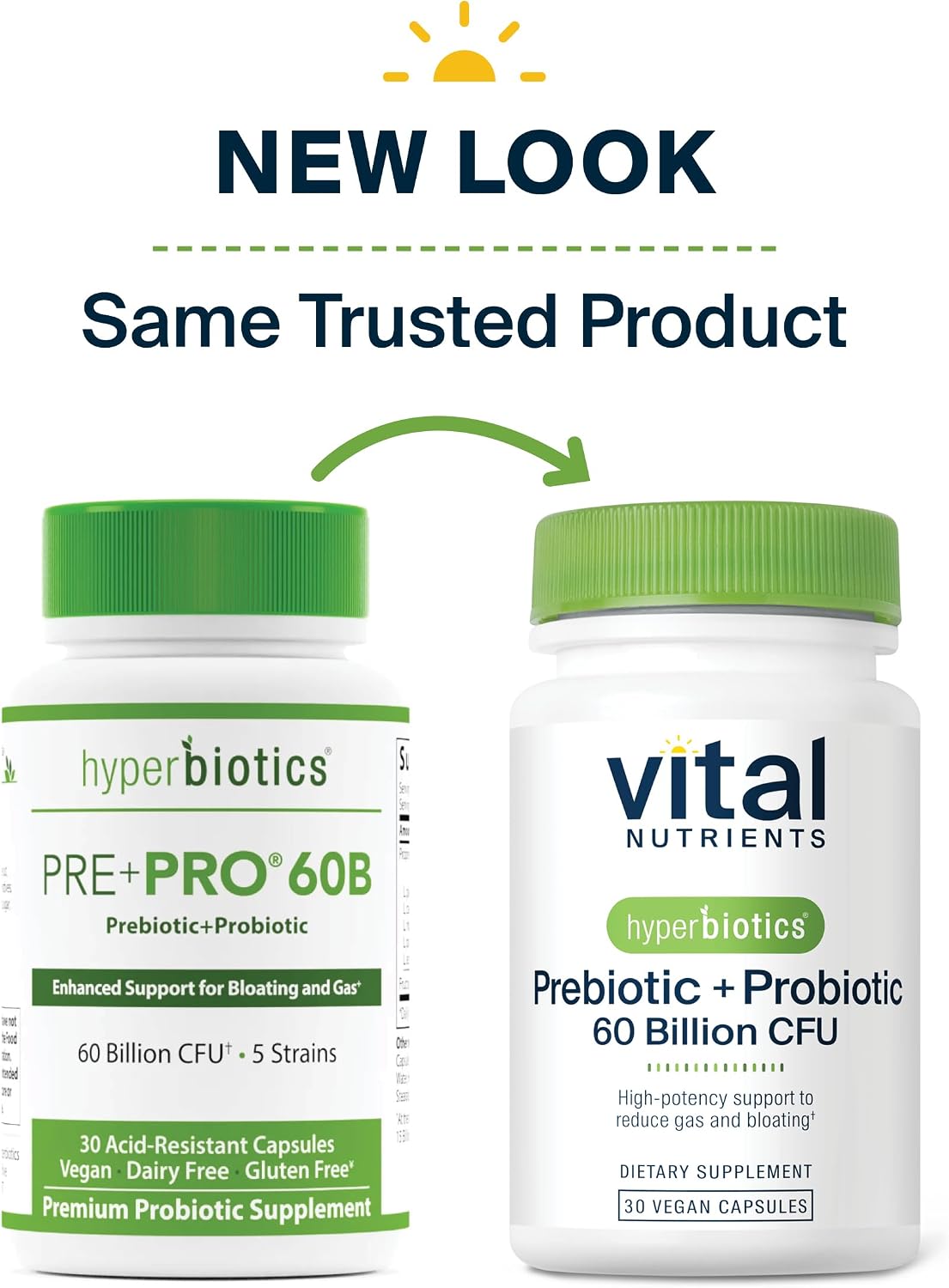 Vital Nutrients Prebiotic & Probiotic, 60 Vegan Capsules