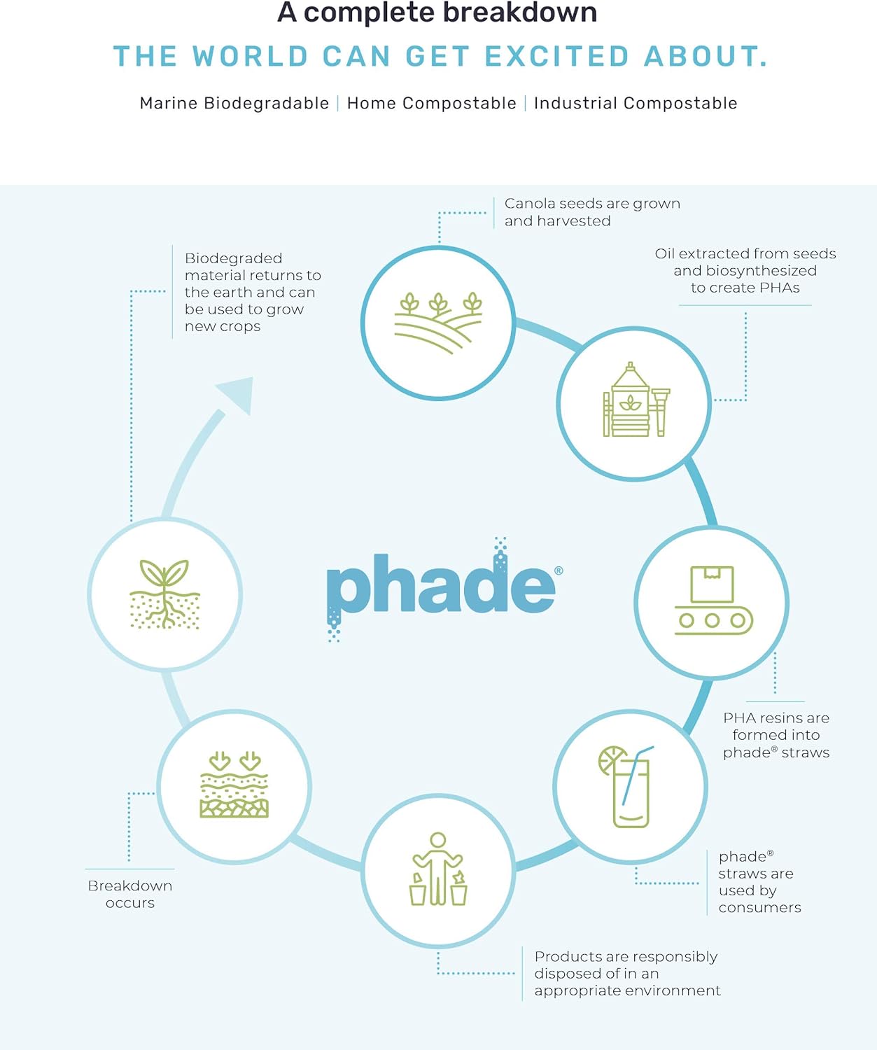 phade Phade 7.75 inch Jumbo Compostable Biodegradable Eco Straws,375 Count,Individually Wrapped,For Cold Drinks Only