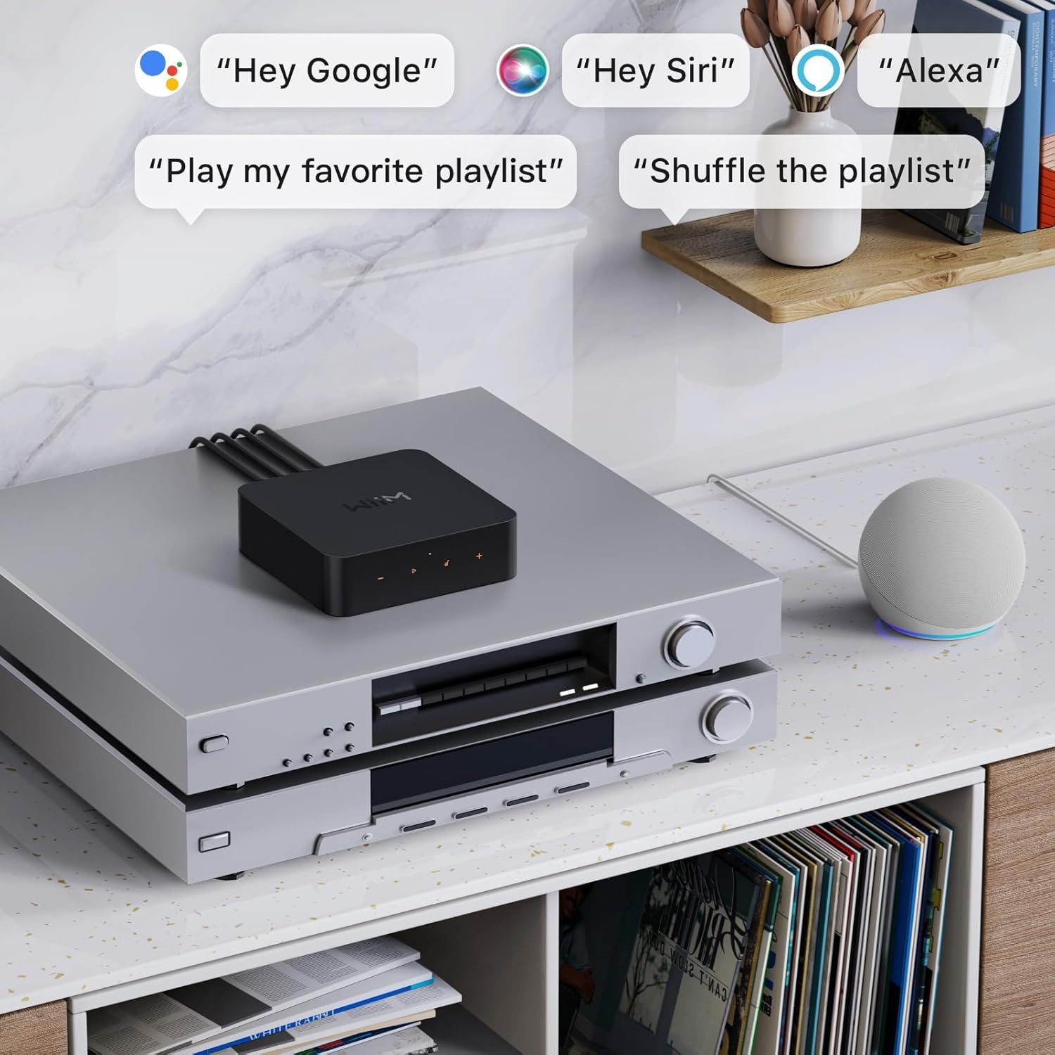 WiiM Pro Music Streamer to Upgrade Stereo with AirPlay 2, Spotify Connect | Upgrade Your Favorite Stereo with Hi-Res Streaming, AirPlay 2