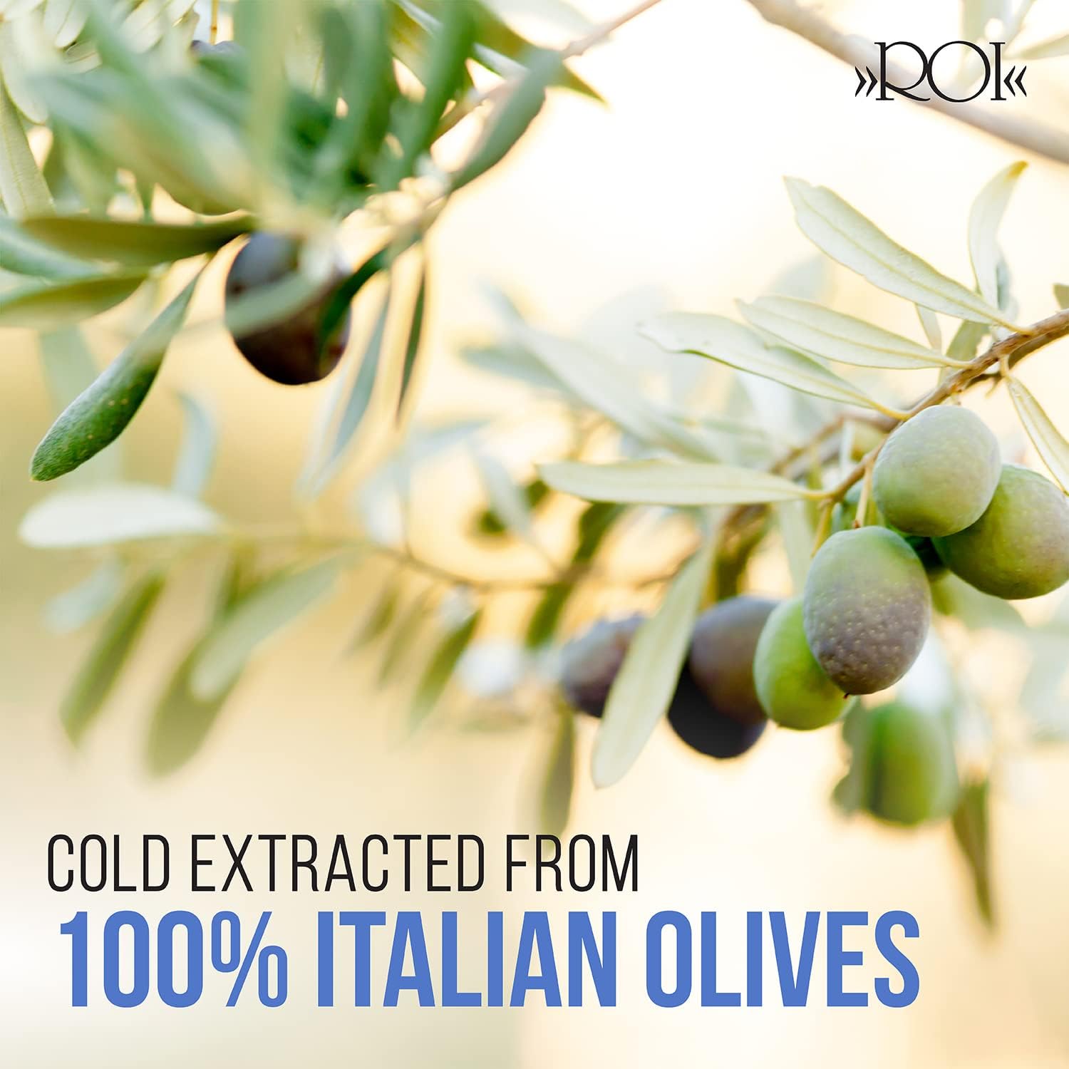 ROI Premium Ligurian Italian Extra Virgin Olive Oil First Cold Pressed - Gourmet Mosto Olive Oil Imported from Italy, High in Polyphenols, 17 fl oz (500 ml)