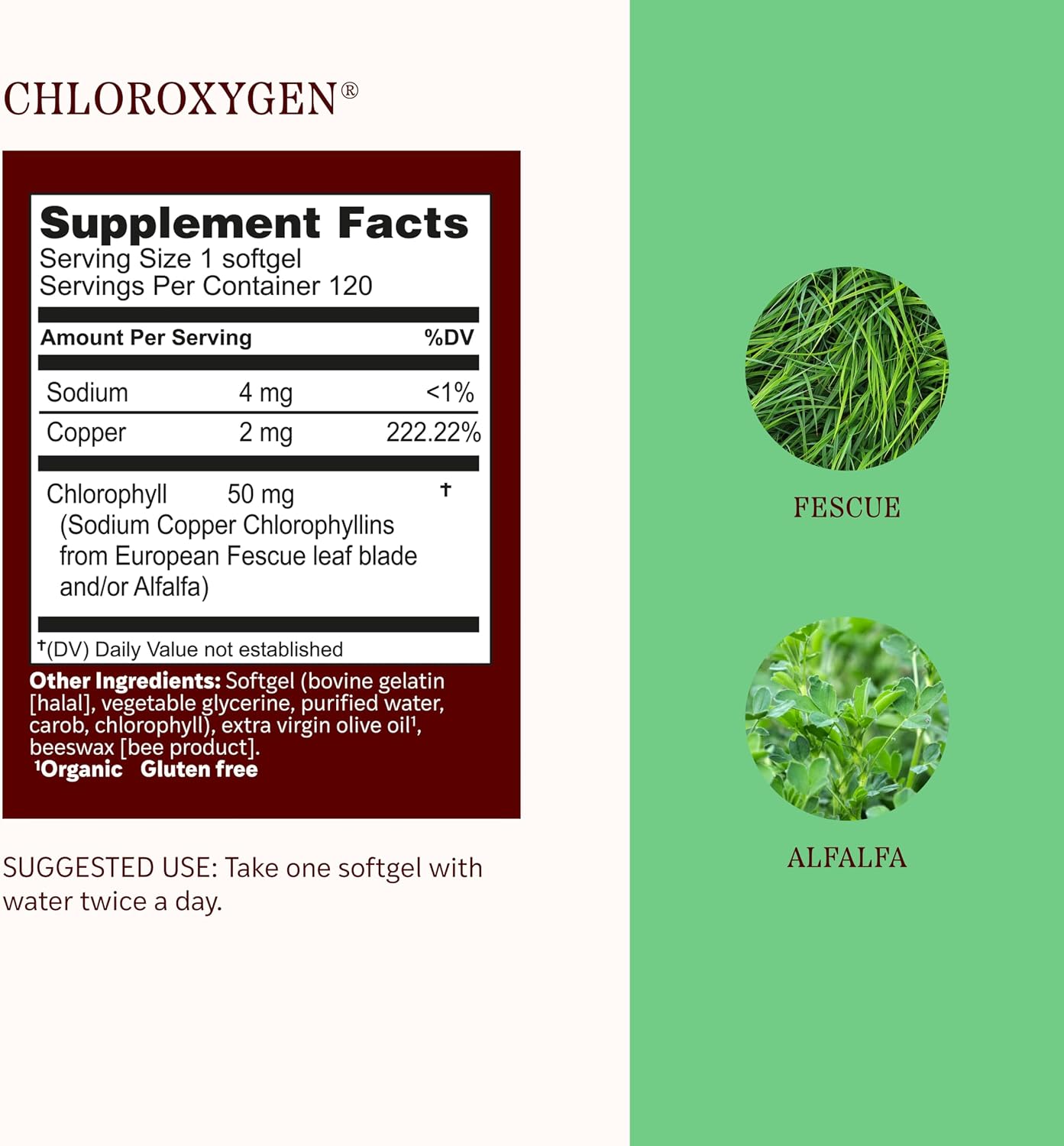 Herbs Etc. ChlorOxygen Chlorophyll Concentrate Softgels - High-Potency Chlorophyll for Detoxification Support - Deodorizing - Skin, Gut & Energy Support - 60 Count (60 Servings)