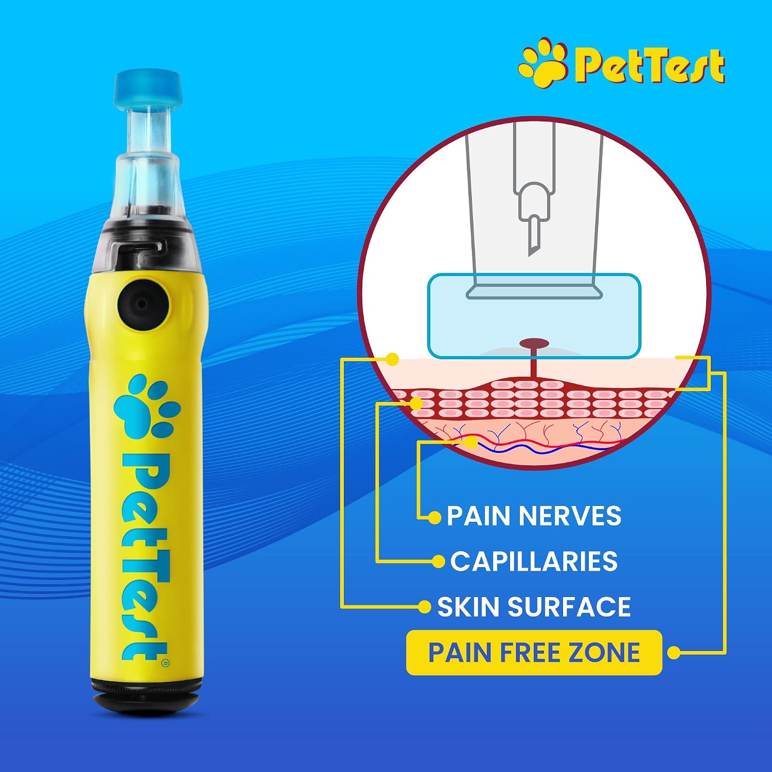 PetTest Genteel Glucose Monitor Kit for Dogs and Cats, Pain-Free Testing