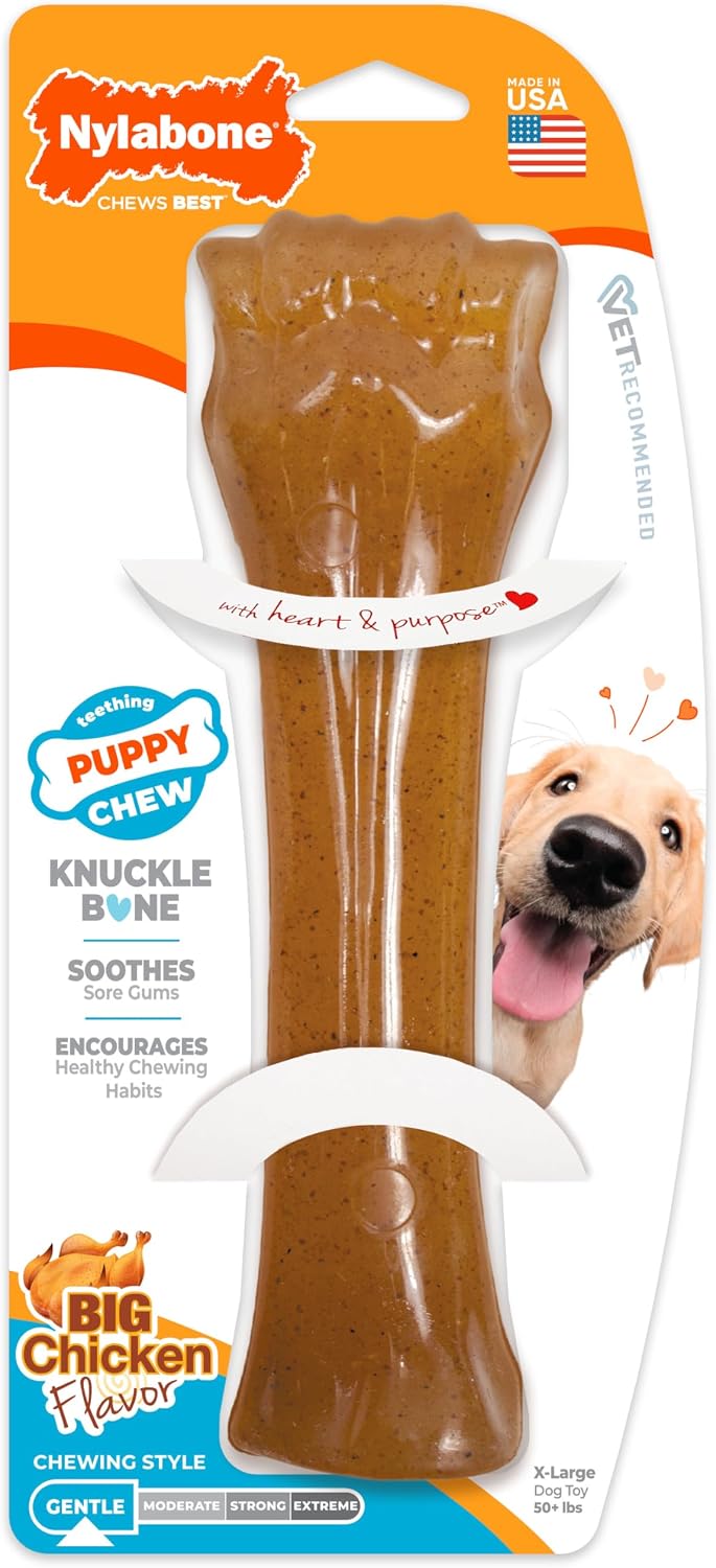 Nylabone Puppy Chew Teething Ring Bone Dog Toy, Chicken Flavor, X-Small | Soothing teething toys for puppies, puppy enrichment, & teething relief, freezable for added comfort, dogs up to 15 lbs
