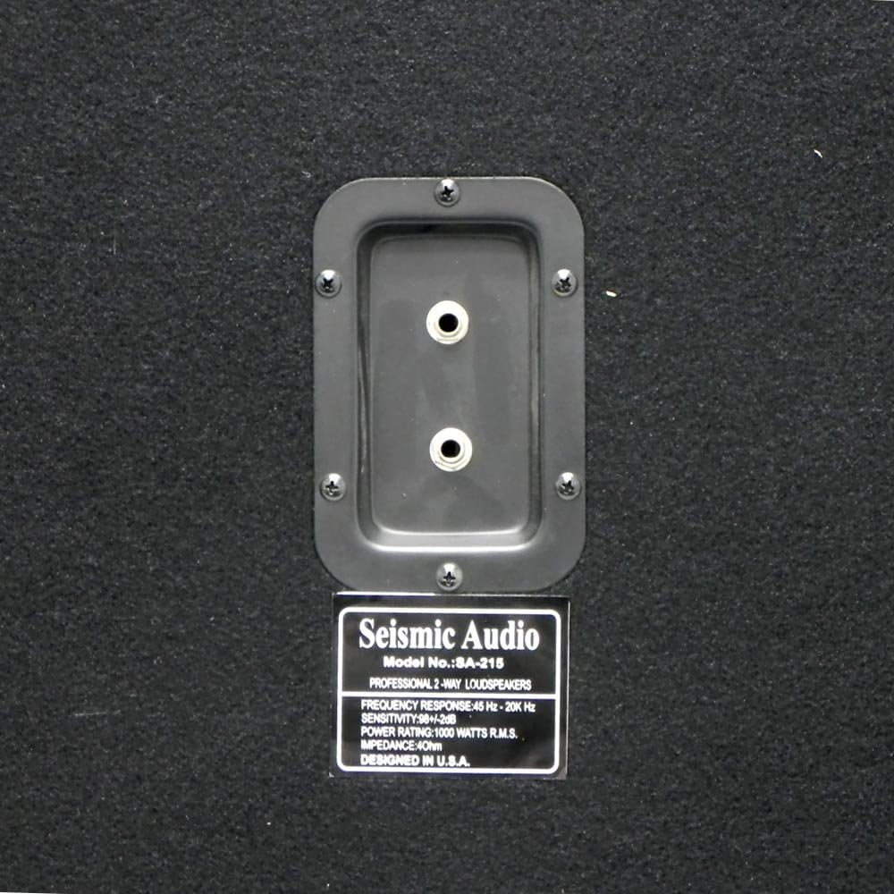 Seismic Audio - 215 Bass Guitar Speaker Cabinet 2x15 PA DJ 600 Watts Dual