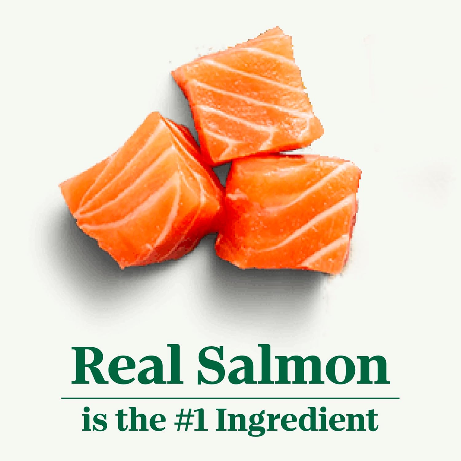 Nutro Wholesome Essentials Adult Dry Cat Food, Salmon & Brown Rice, 3 lb | Real salmon #1 ingredient, Omega-6 for skin & coat, prebiotic fiber for digestion, Vitamin E & Selenium antioxidants