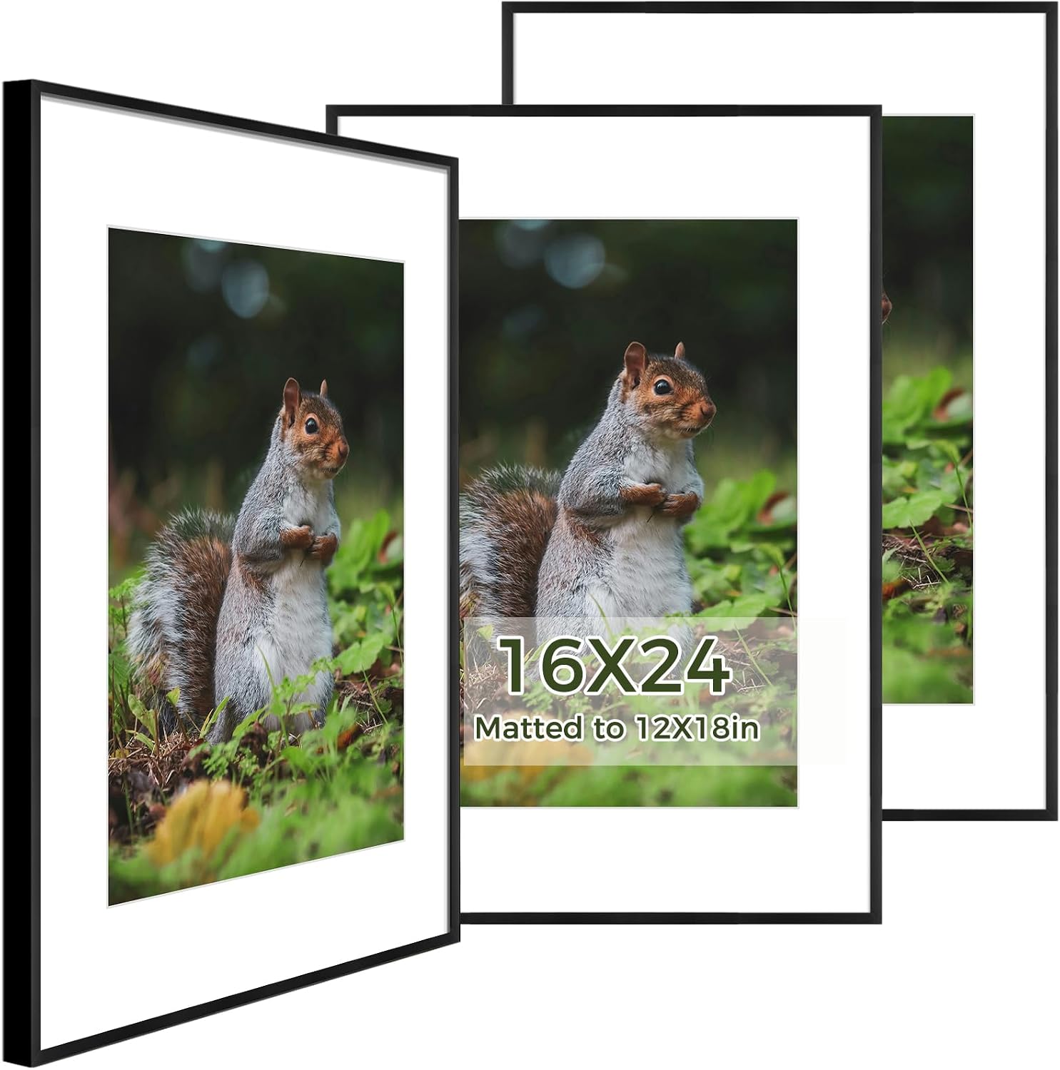 Golden State Art 3 Pack 12x12 Black Aluminum Frames, Real Glass Fronts