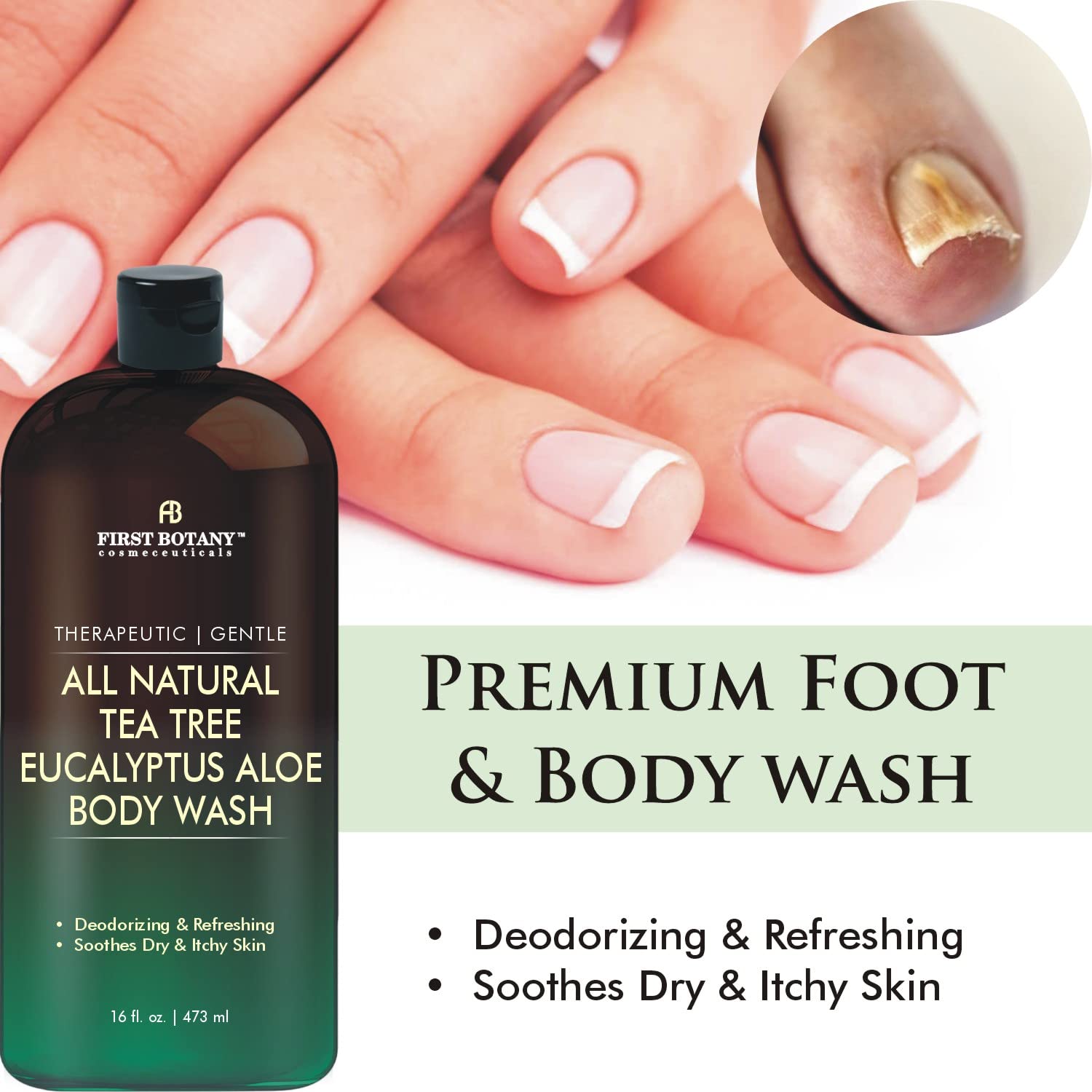 Tea Tree Eucalyptus Body Wash & Skin Cleanser for Women & Men, 16 Fl Oz