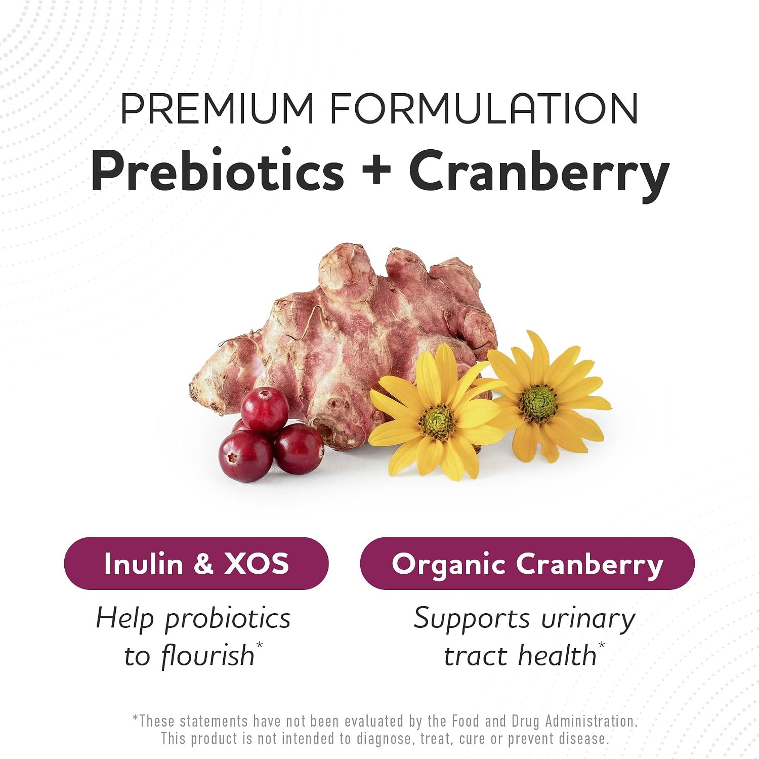 Prebiotics and Probiotics, 50 Billion CFU, 16 Probiotic Strains & Inulin | With Prebiotic Fiber, Delayed Release Capsules, Gut Health Support, Prebiotics and Probiotics for Women & Men, 60 Capsules