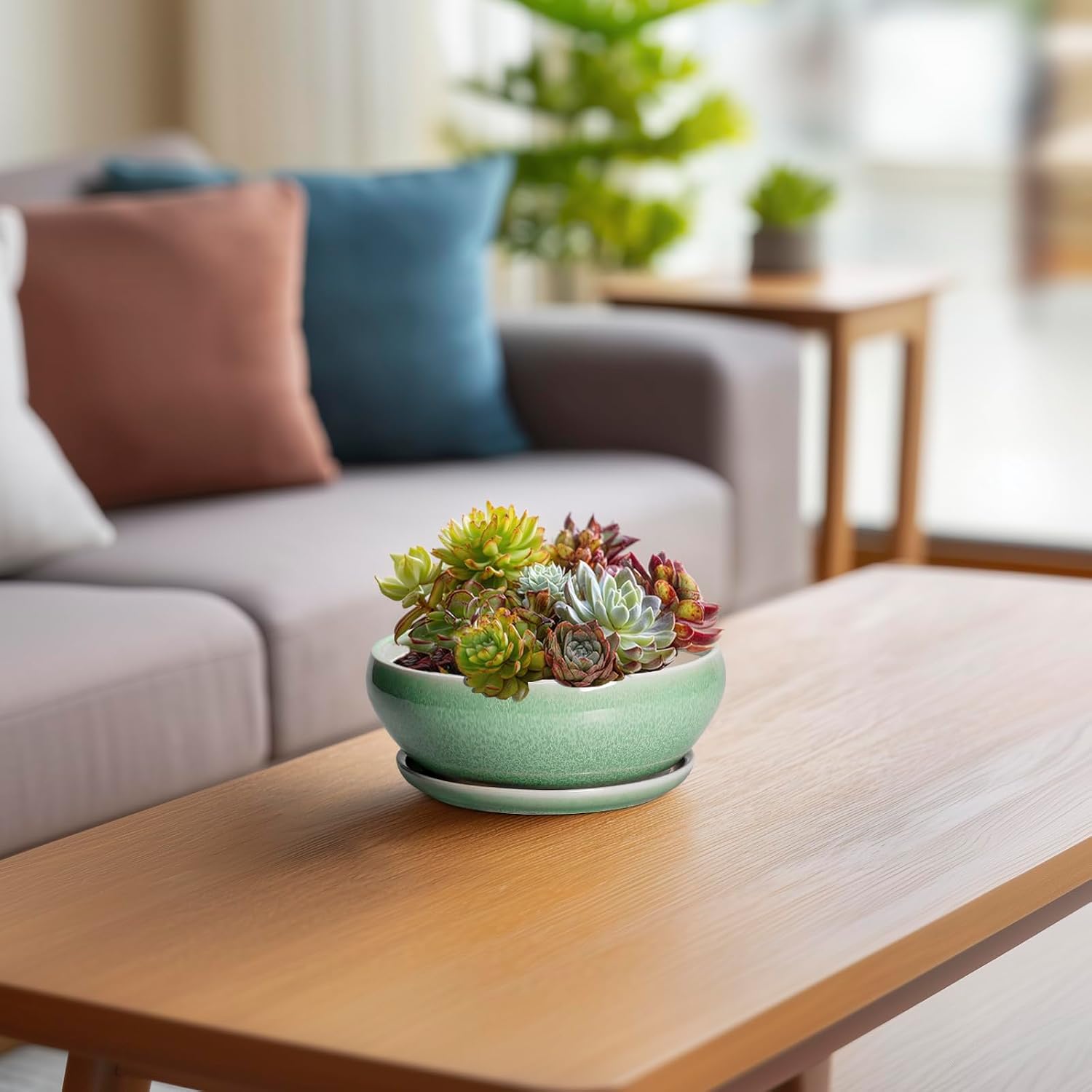 SQOWL 7 Inch Round Ceramic Succulent Planter Pot Drip Glazed Shallow Planter with Drainage Bamboo Tray for Indoor Plants
