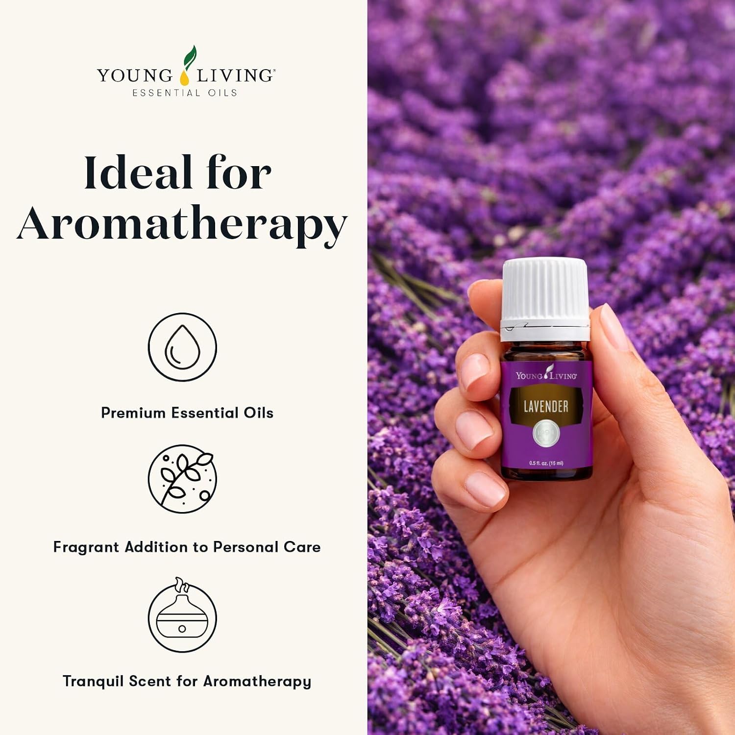 Young Living Purification Essential Oil Blend, 15ml - Aromatherapy Diffuser - Ideal for Cleansing Skin - Skincare and Beauty Addition - Pure & Natural