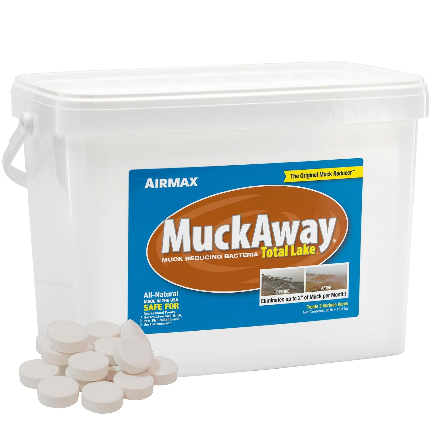 Airmax MuckAway Bacteria Enzyme Tablets for Ponds & Lakes, 16 Scoops | Natural beneficial bacteria muck, sludge & noxious odor solution for cleaner beaches & shorelines; fish, pet & wildlife safe