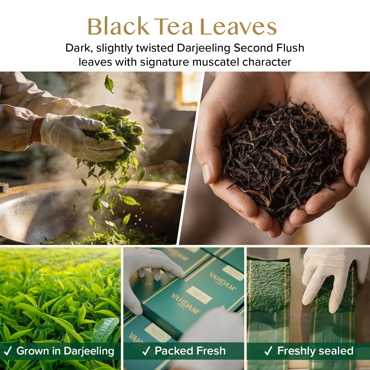 VAHDAM, Himalayan Green Tea Leaves (50+ Cups, 3.53 Oz) Non GMO, Gluten Free | High Elevation Grown Green Tea Leaves From Himalayas | Pure Unblended Single Origin Green Loose Leaf Tea | Vacuum Sealed