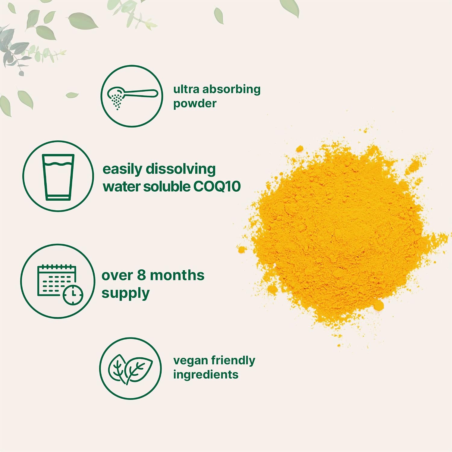 Micro Ingredients Water Soluble COQ10 Supplement (COQ10 200mg Per Serving in Powder Form), 50 Grams (8 Months Supply), Extra Absorption