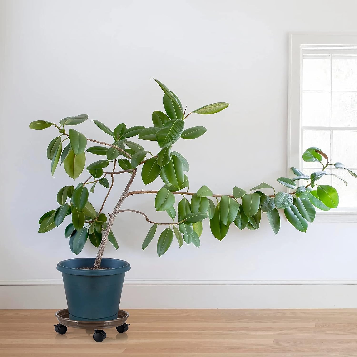 Skelang 13" Plant Caddy, Movable Plant Stand Pot Saucer, Plant Pallet Tray Trolley with Casters, Plant Dolly for Garden Planter, Deck Potted Plant