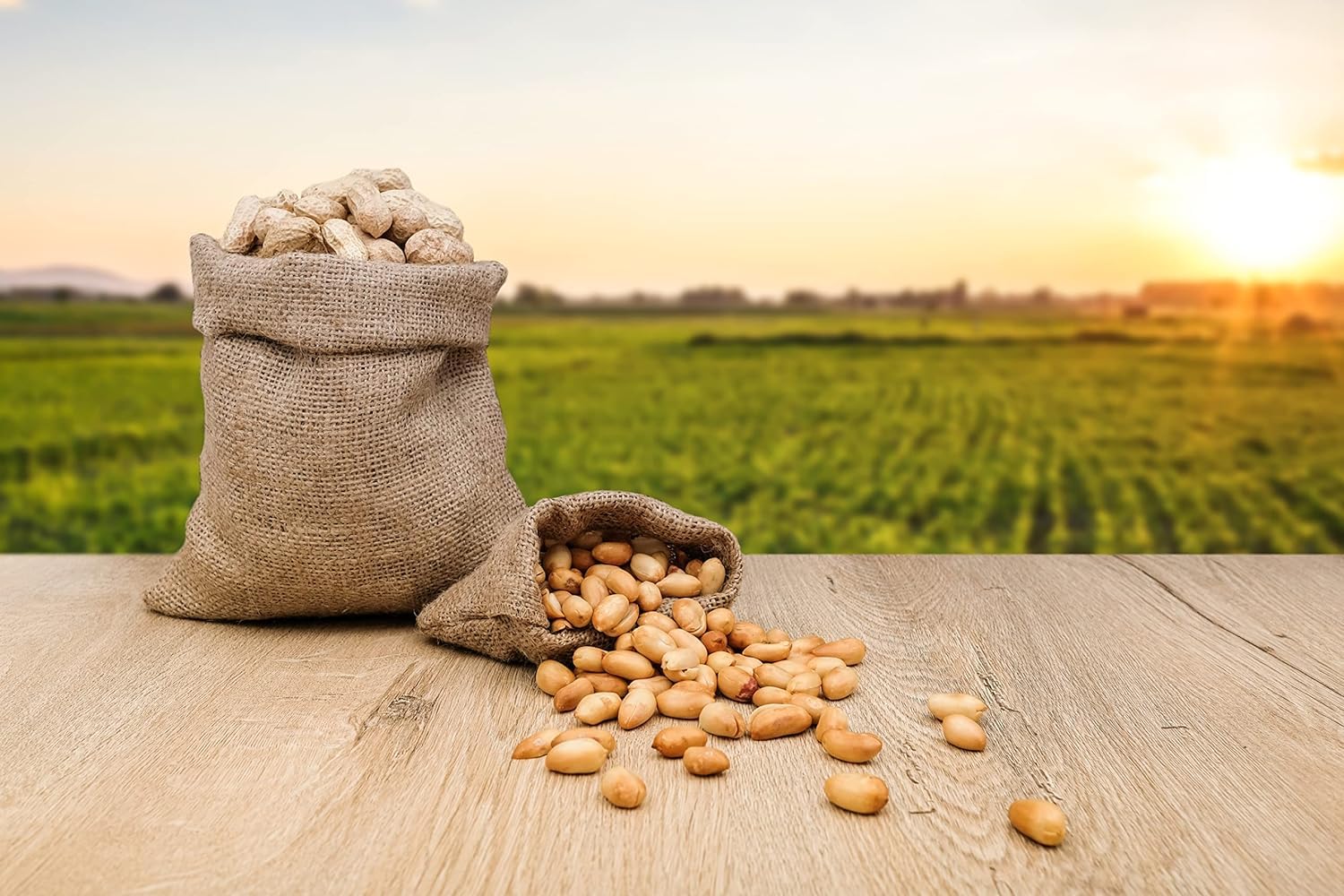 Fruidles Raw Peanuts, 2 Pound Bag Raw Peanuts in Shell, Great for Boiling, Squirrels Feed, Birds Feed and Wildlife