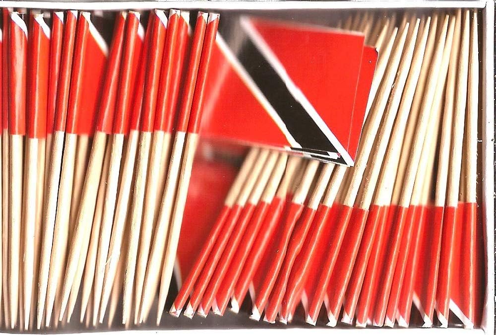 One Box of 100 Nicaragua Toothpick Flags, 100 Small Mini International Flag Cupcake Toothpicks or Cocktail Picks