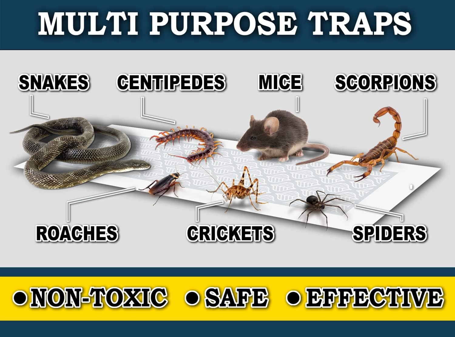 MaxGuard Glue Trap Strips (24 Traps) Non-Toxic Extra Sticky Glue Board Pre-Baited with Fruity Scent Attractant Trap & Kill Insects, Bugs, Spiders