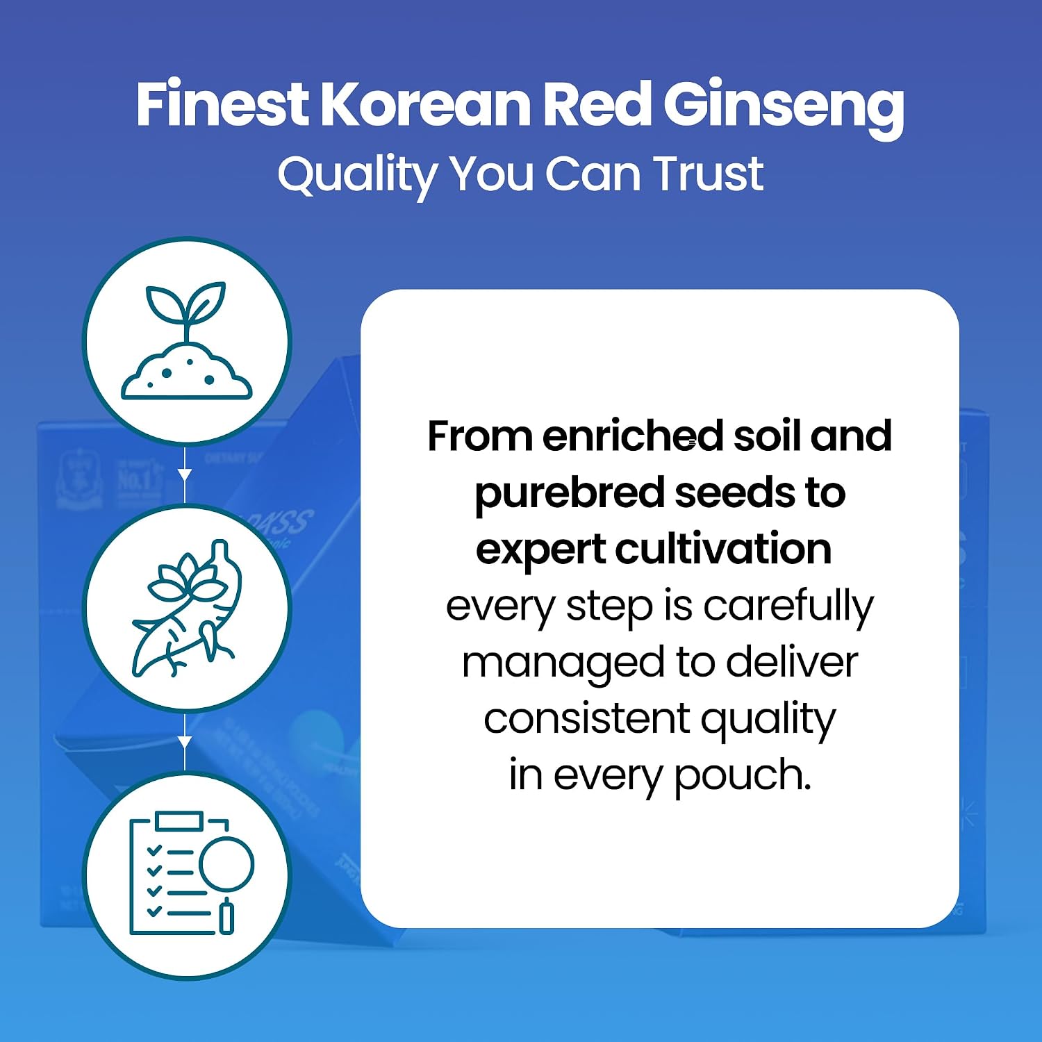 JungKwanJang i-Pass Junior Dietary Supplement- Korean Red Panax Ginseng Extract - Support Immune System, Memory Improvement and Concentration