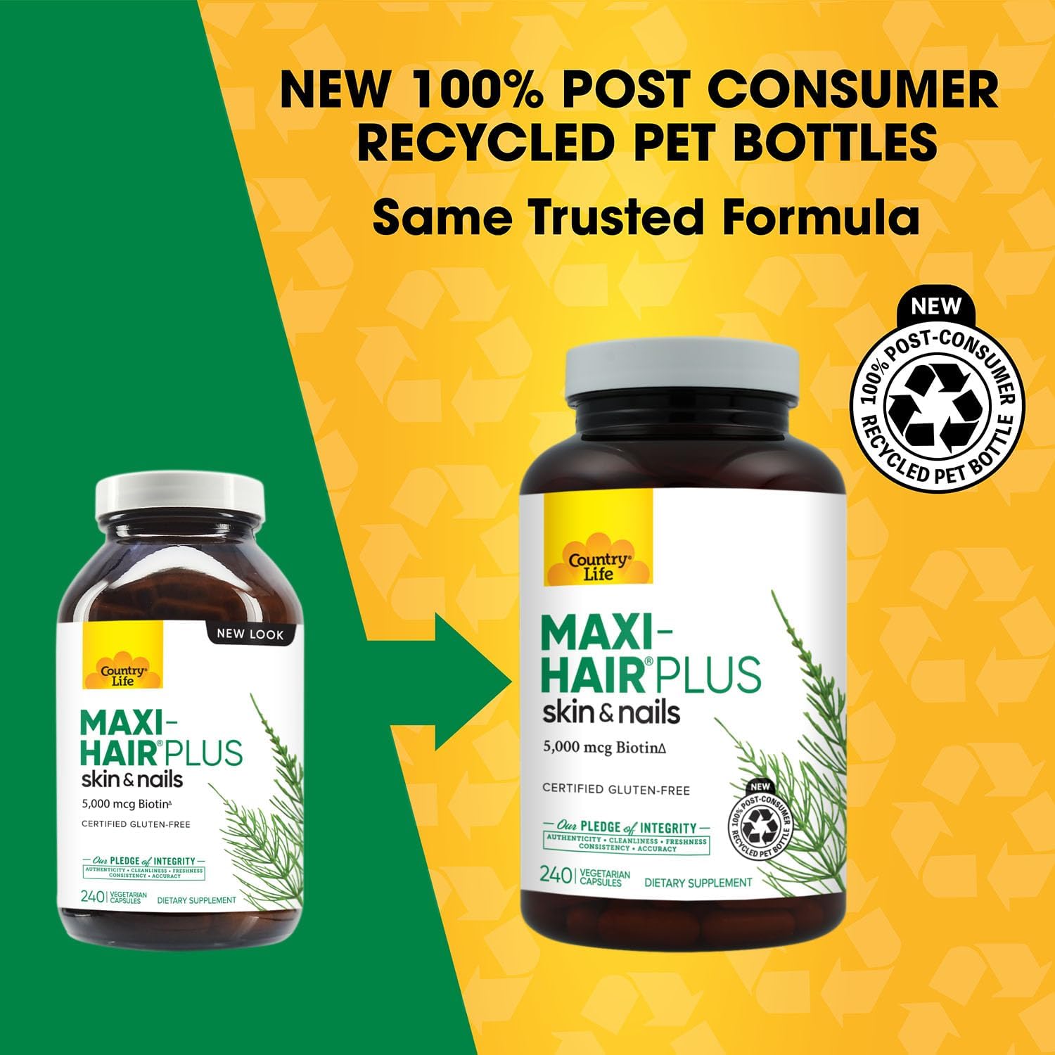 Country Life Maxi-Hair Plus 5000 mcg Biotin, 240 Vegetarian Capsules | Supports healthier-looking skin and strands plus strong nails from within