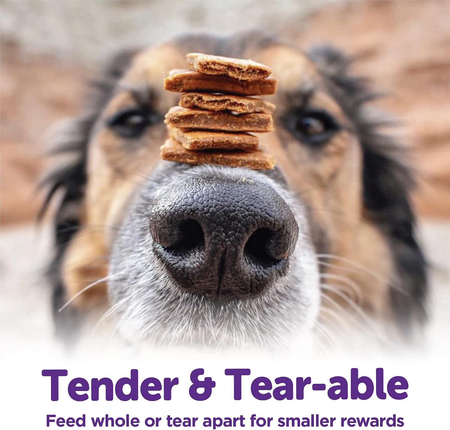 Wellness Rewarding Life Soft Dog Training Treats, Natural, Grain Free, Lamb and Salmon Recipe, 6 oz Bag