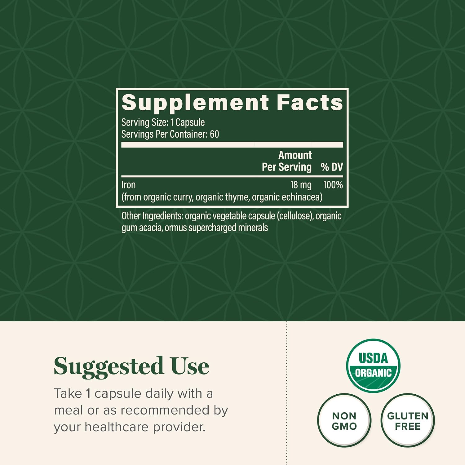 Iron Supplement for Women & Men - Blood Builder Liquid Iron Vitamin (2 Oz) | Global Healing Iron Supplement- Natural Energy to Combat Fatigue