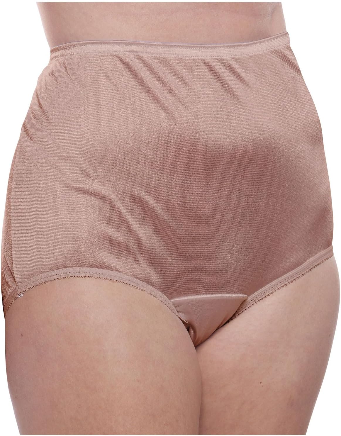Teri Women's 331 Plain Jane Classic Nylon Silky-Smooth Lightweight Breathable Full Coverage Brief Panty - 4 Pack