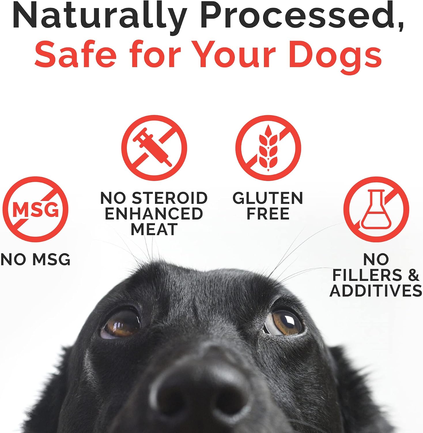 Miss Nelly's- All Natural Beef Jerky Dog Treats Made in USA Only, 16 oz Bag