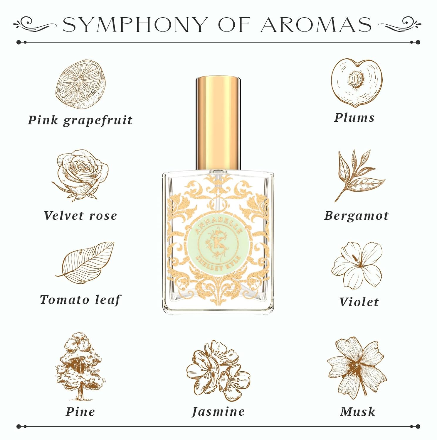 Tiramani Perfume with Perfect Floral Fragrance, Long-Lasting Scent, Great Choice for Everyday Wear, 30ml
