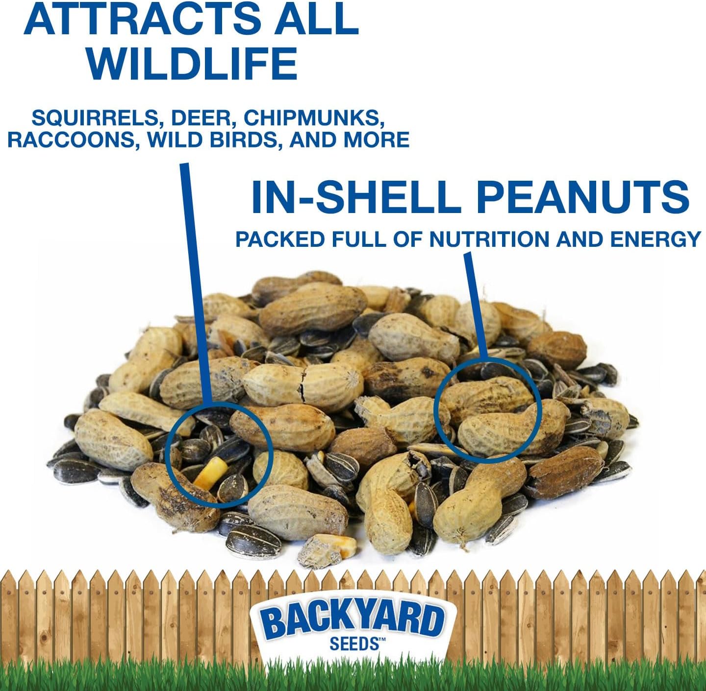 CountryMax Backyard Seeds Squirrel & Chipmunk Food Mix – 8 lb Bag – Premium Wildlife Blend with Sunflower Seeds, Peanuts & Corn – Ideal for Squirrels, Chipmunks, Rabbits & Backyard Birds​