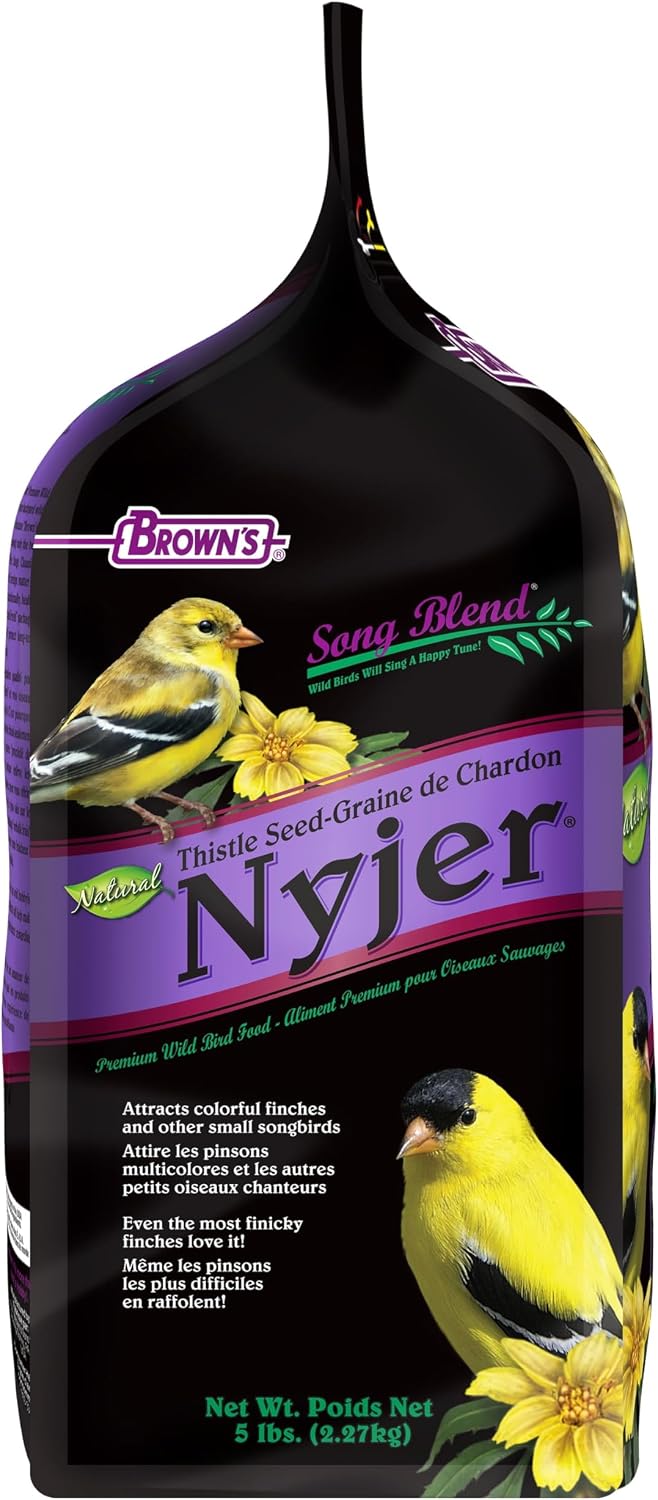 F.M. Brown's Song Blend Nyjer Thistle Seed for Pets, 5-Pound