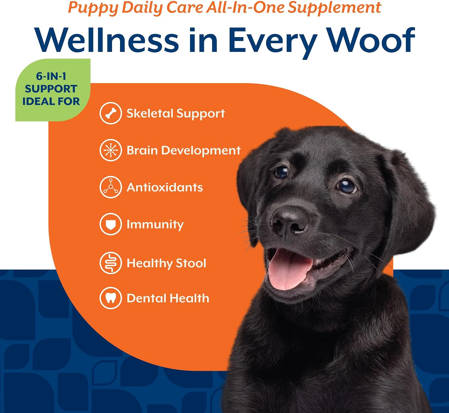 NaturVet All-in-One Cat & Dog Supplement Daily Multivitamin - 13 Oz Powder | Daily Multivitamin for Dogs & Cats - Supports Digestion, Skin & Coat with Omega-3, 6, 9 in a Wheat-Free Formula, 13 Oz Powder