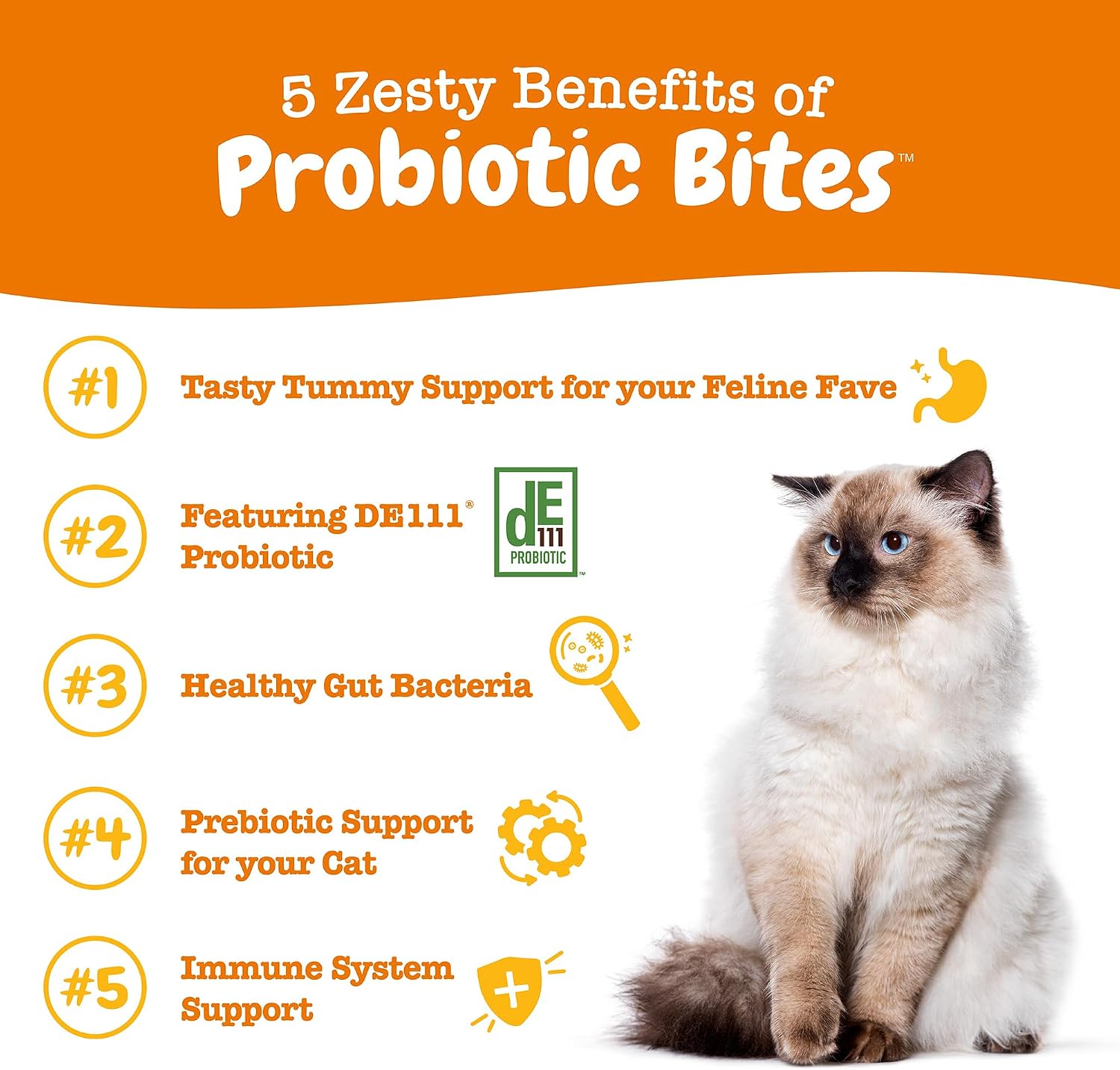 Zesty Paws Probiotics for Dogs - Digestive Enzymes for Gut Flora, Digestive Health, Diarrhea & Bowel Support - Clinically Studied DE111 - Dog Supplement Soft Chew for Pet Immune System - Pumpkin, 90ct