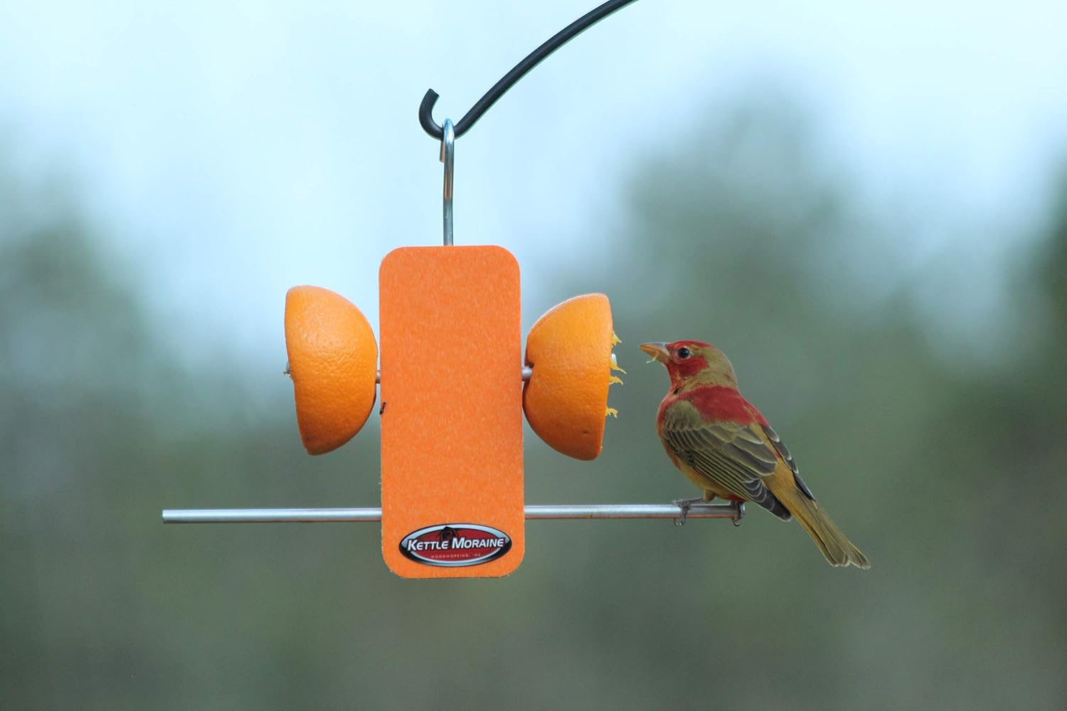 Recycled Single Oriole Orange Fruit Stick Feeder