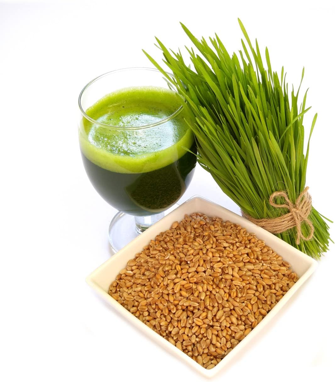 Todd's Seeds Hard Red Wheatgrass Seeds, 5 lb Bulk – Non-GMO | Hard Red Winter Wheat variety. Bulk 5 lb supply. High germination rate. Grow in soil or hydroponics. USA packed.