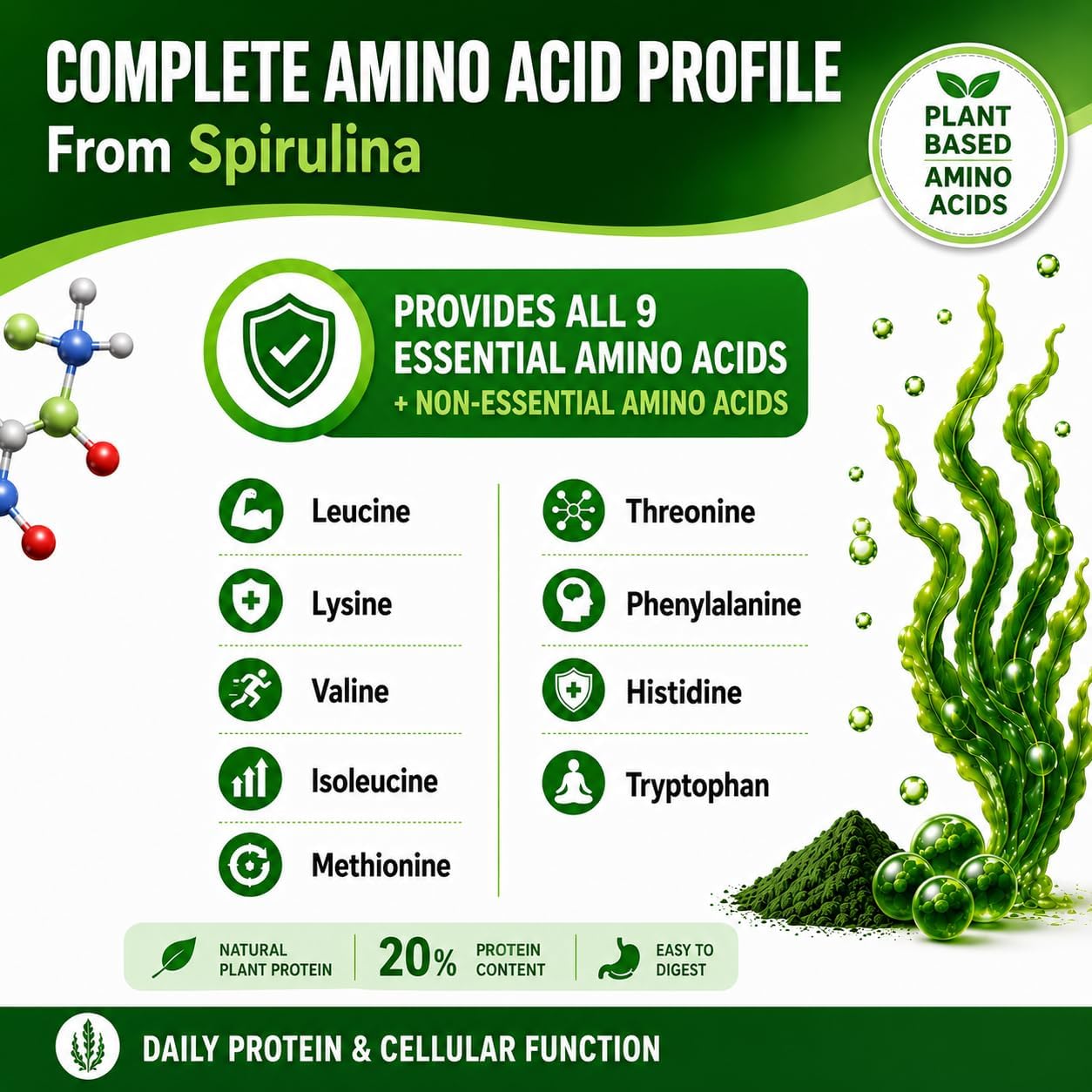 Spirulina Powder Capsules 3000 mg - Purest Non-Irradiated Blue Green Algae - Best Raw Vegan Protein - Green Superfood - Natural Multivitamins –