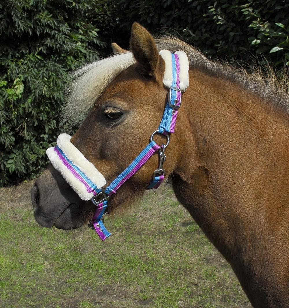 Rhinegold Bright Striped Fur Trim Small Pony Headcollar Turquoise Stripe