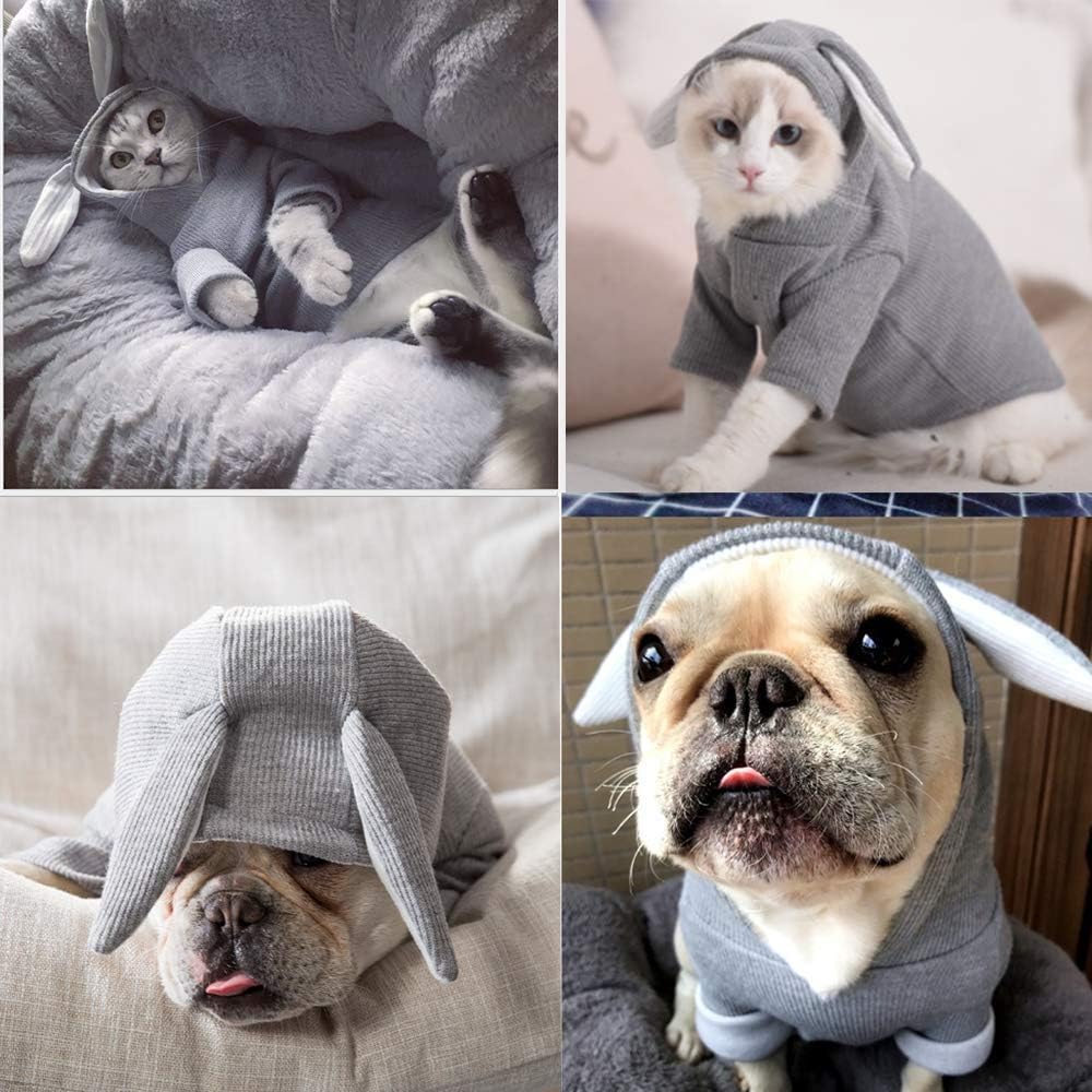 ANIAC Dog Hoodies Sweatshirt with Bunny Ears Spring Puppy Clothes for Small Dog Girl Boy Soft Doggy Sweater Cat Apparel Pet Clothing for Kitten