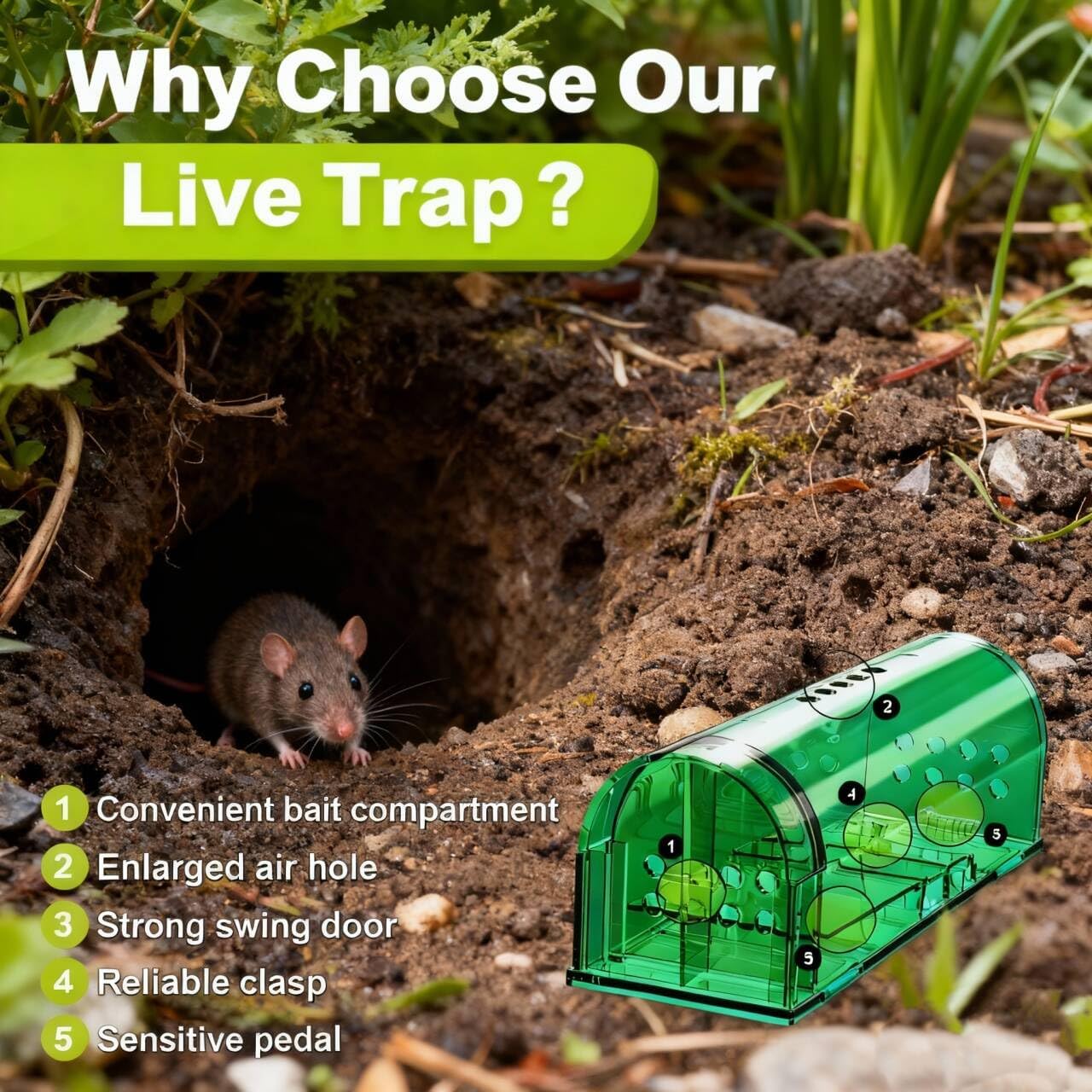 4 Pcs Humane Live Mouse Traps No Kill Reusable Mice Trap Catch