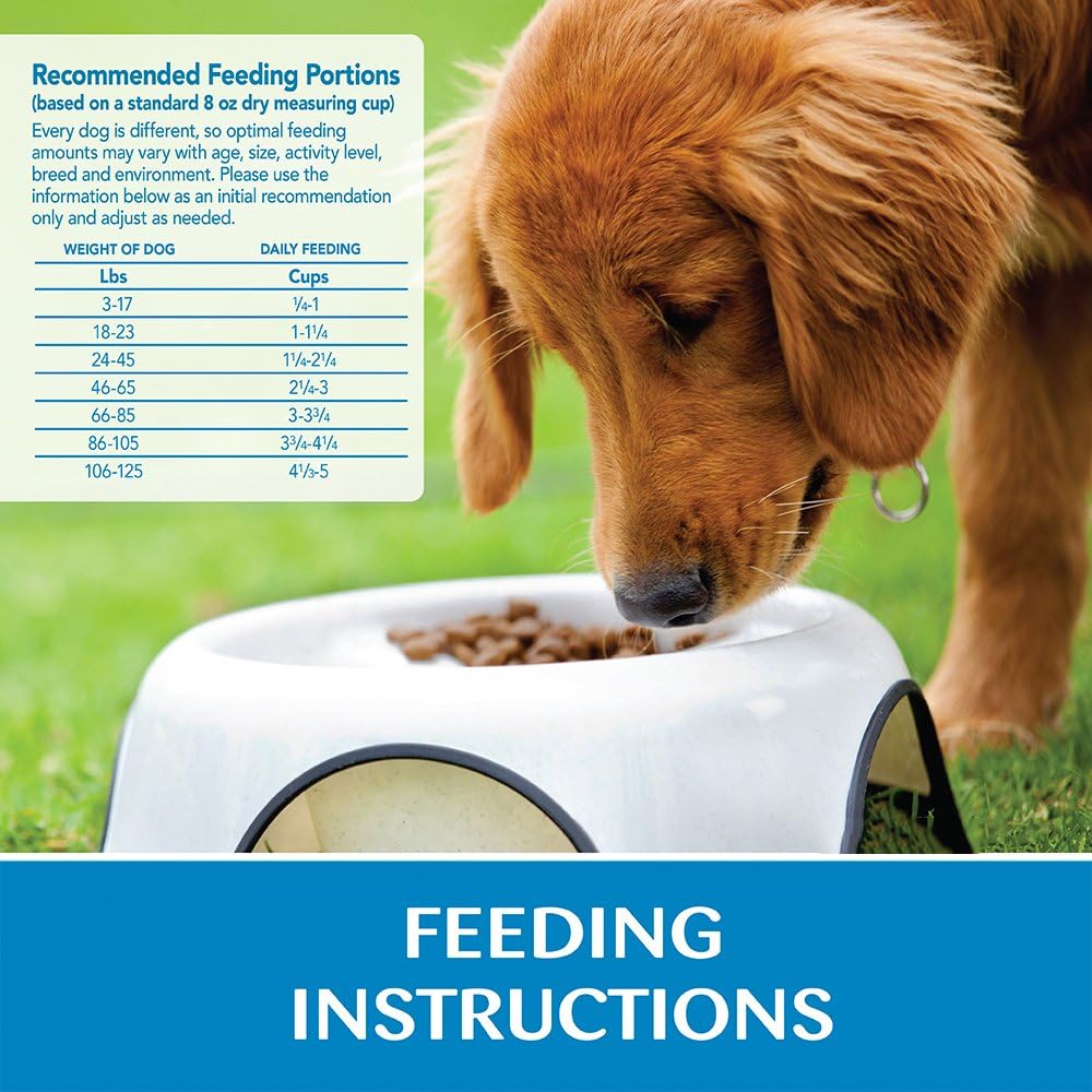 Wellness Simple Limited Ingredient Small Breed Adult Dry Dog Food, Grain Free Kibble, Sensitive Stomach, Skin & Coat Support, Natural, Chicken Free, Salmon and Potato Recipe, 10.5 lb Bag