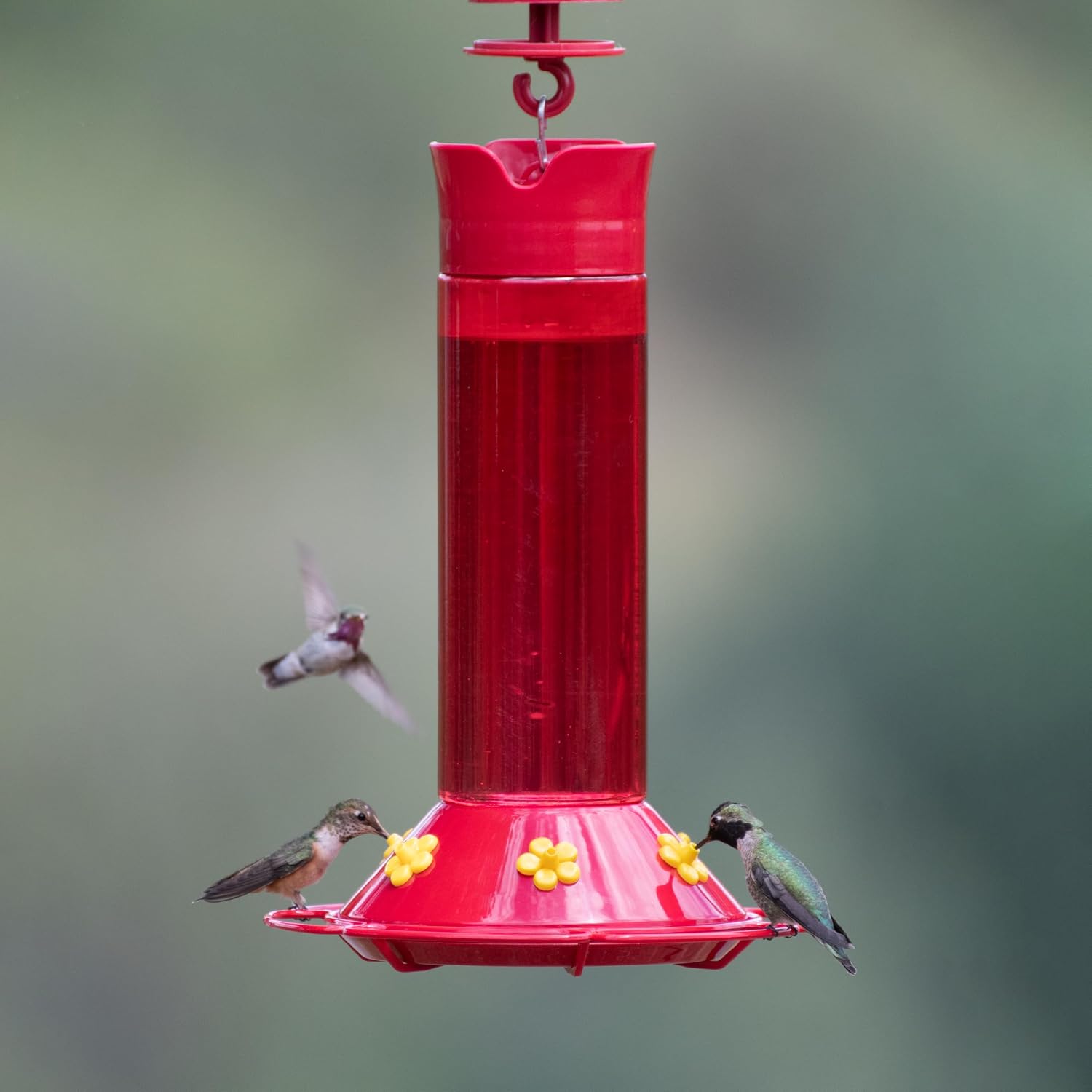 Perky-Pet 409 Hummer’s Favorite Red Plastic Hummingbird Feeder – 30 oz