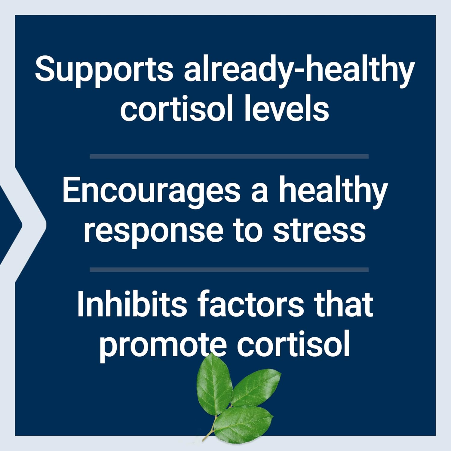 Life Extension Cortisol-Stress Balance, 30 Capsules | Relora Magnolia Bark, Green Tea & Lychee, Manage Stress & Healthy Cortisol Levels, Gluten-Free