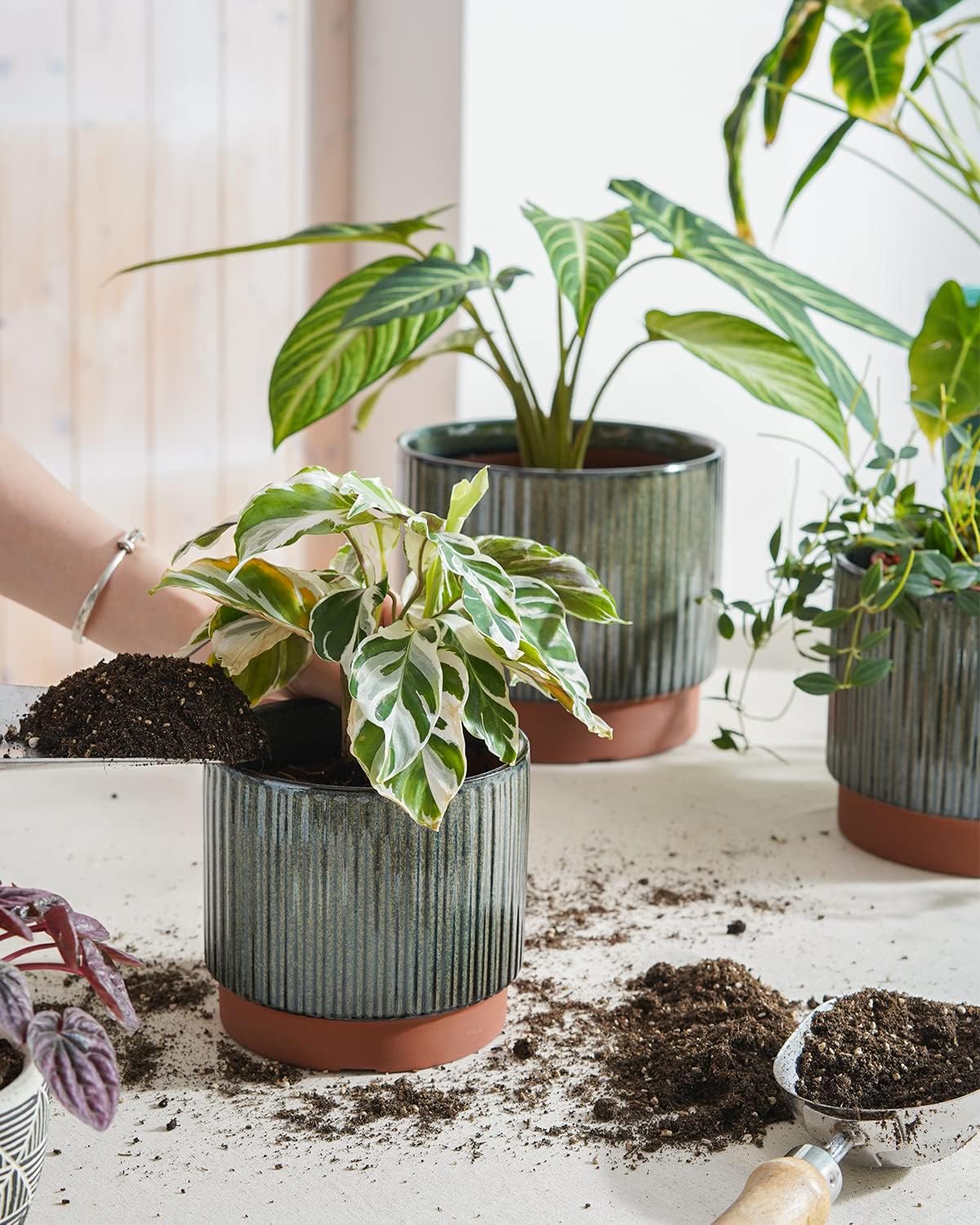 LE TAUCI Ceramic Plant Pots with Drainage Holes, Set of 3, 8+6.7+5.5 Inch Stripe Garden Planter Pots for Outdoor Indoor Plants Flower