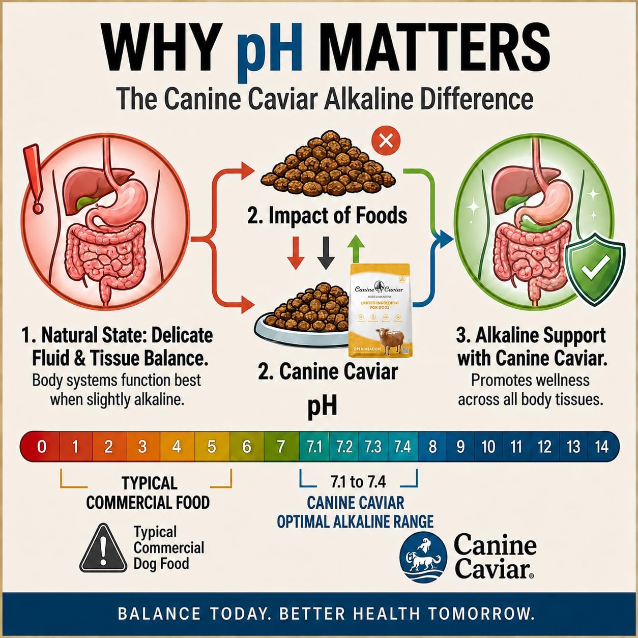 Canine Caviar - Open Range: Water Buffalo & Chickpea Alkaline Dry Dog Food, Limited Ingredients, Gluten-Free, Based on Science & Research, Veterinary Alternative Diet (22 Pound Bag)