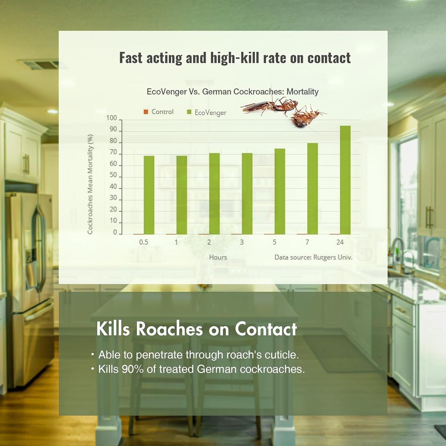 EcoVenger® Roach and Ant Killer 16 oz | Kills on Contact | Extended 4-Week Deterrence | Peppermint Scent | Child and Pet Safe